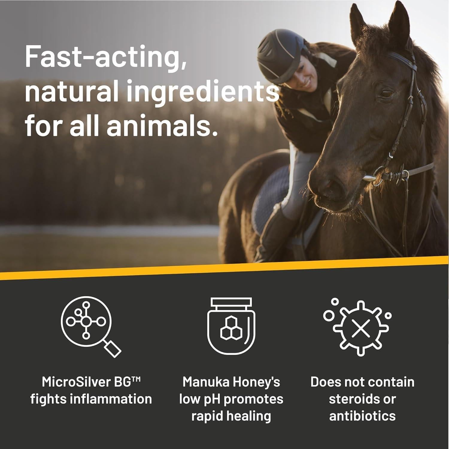 Ungüento Reparador Rápido Silver Honey 60g - Miel de Manuka