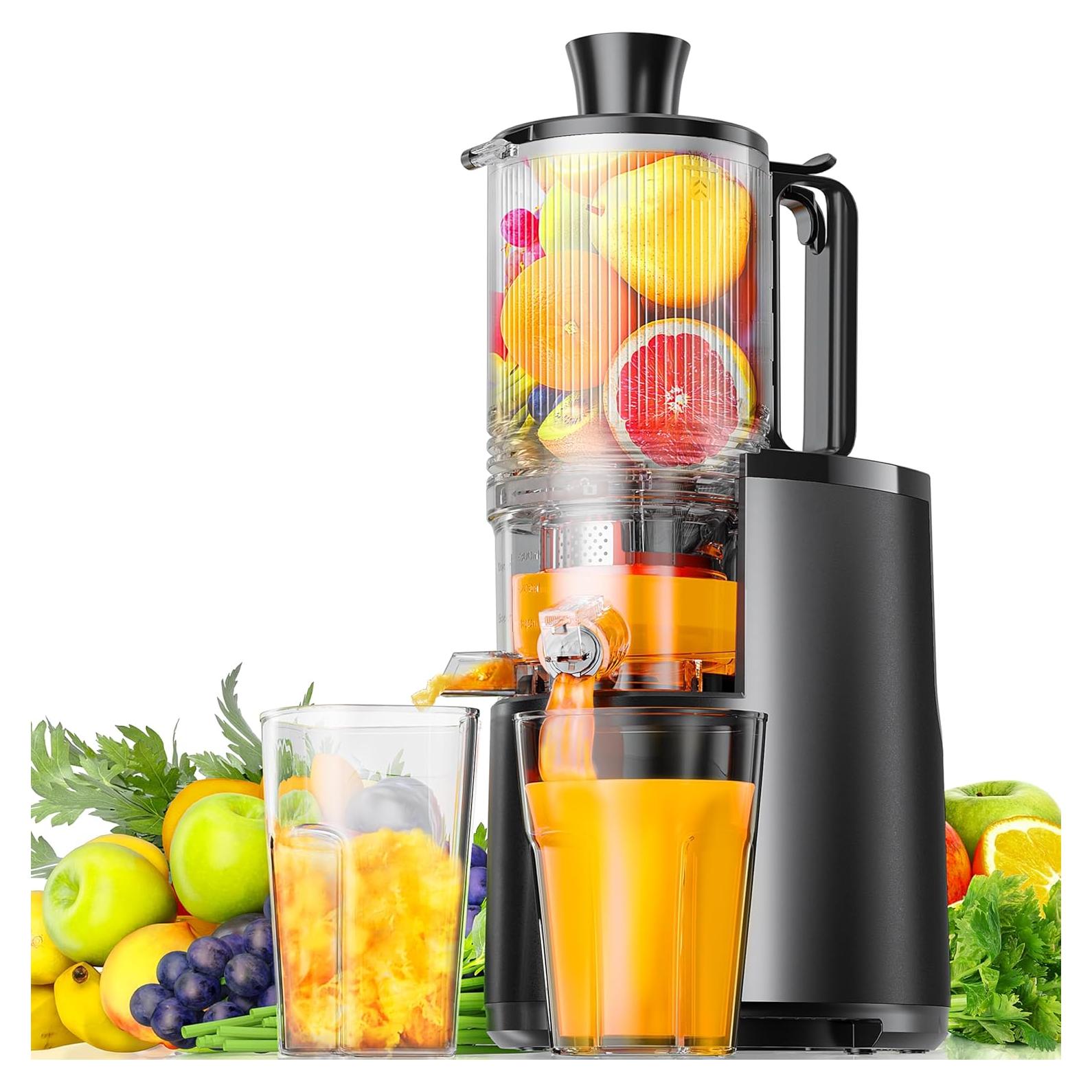 Extractor de Jugo EUHOMY MJ-01H 250W 2L Fácil Limpieza