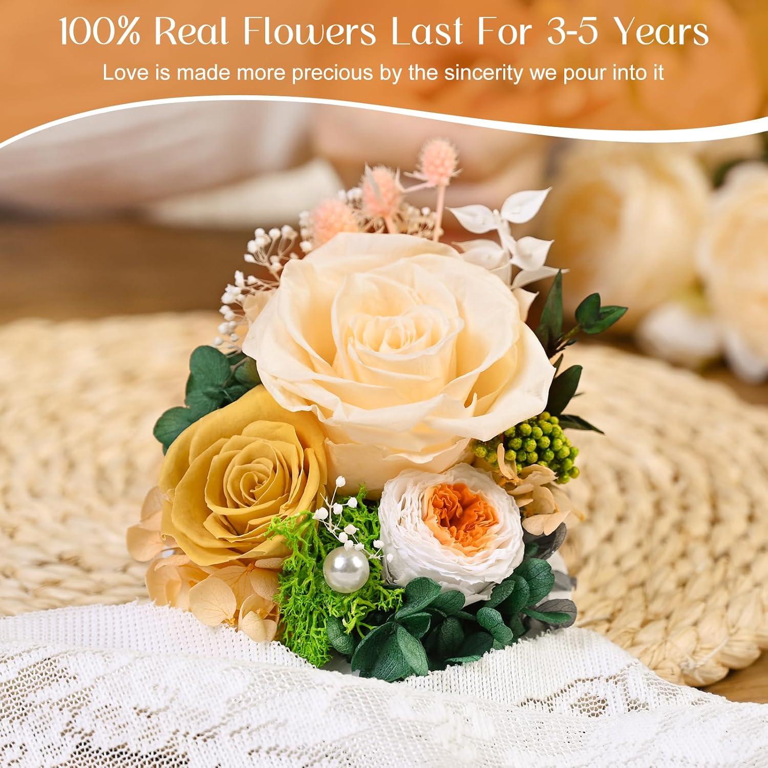 Flores Preservadas ASPMIZ Rosa Champagne con Levitación Magnética