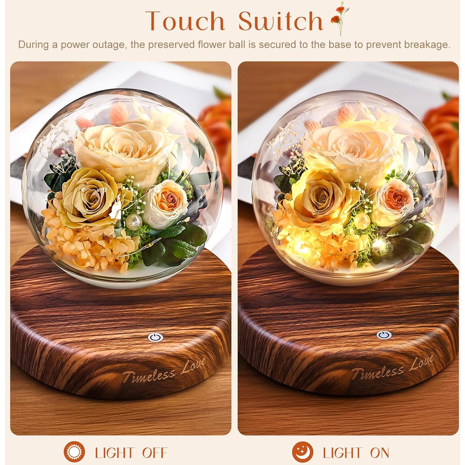 Flores Preservadas ASPMIZ Rosa Champagne con Levitación Magnética