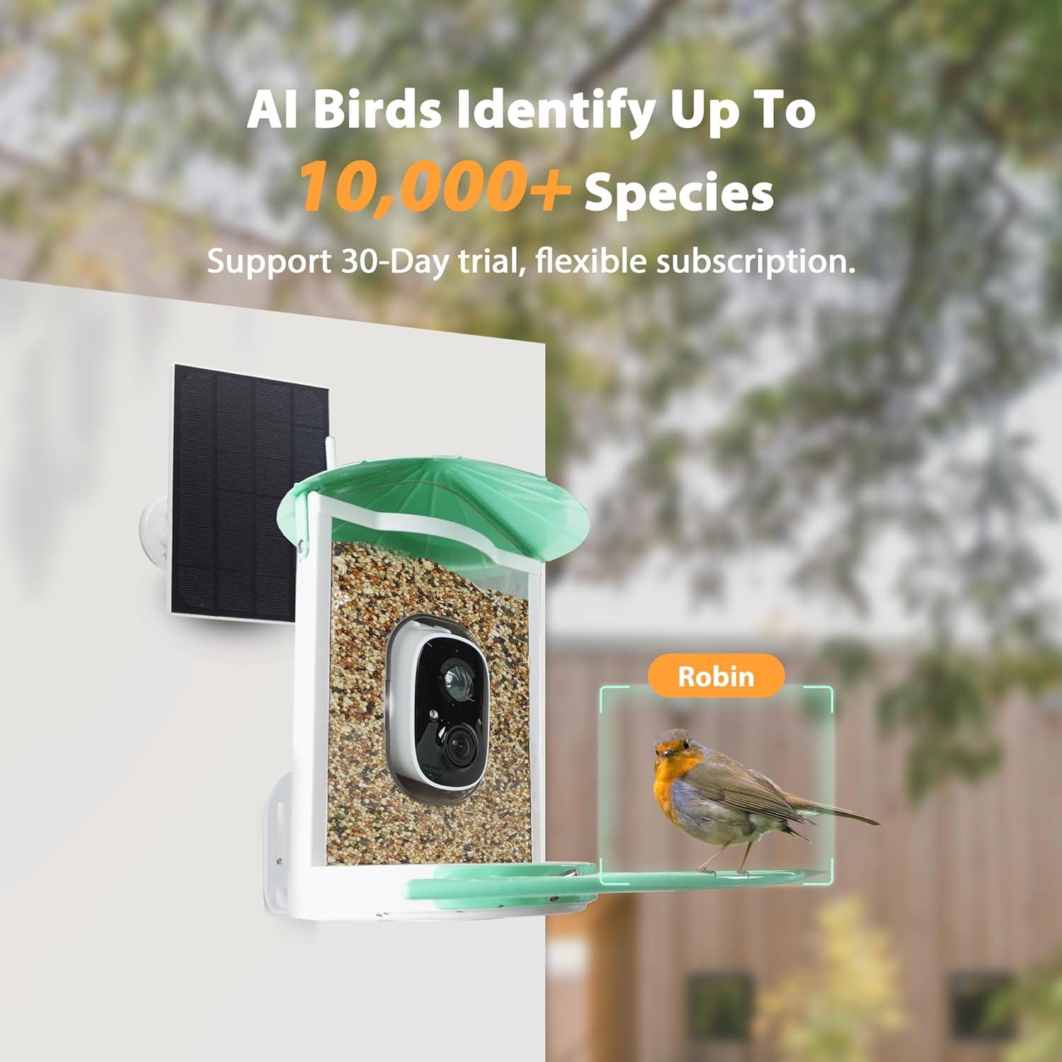 Comedero Inteligente para Aves Birdkiss con Cámara Solar