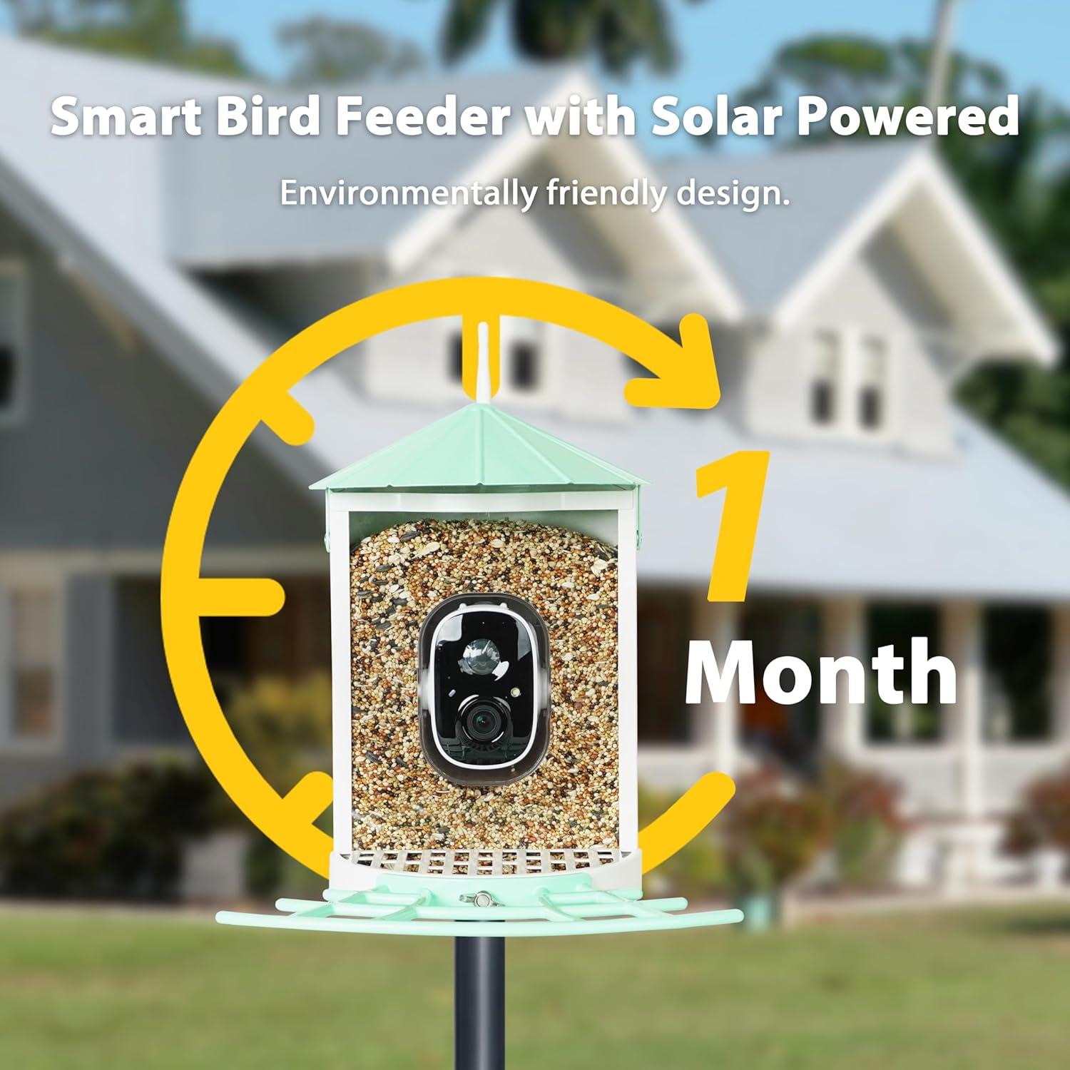 Comedero Inteligente para Aves Birdkiss con Cámara Solar