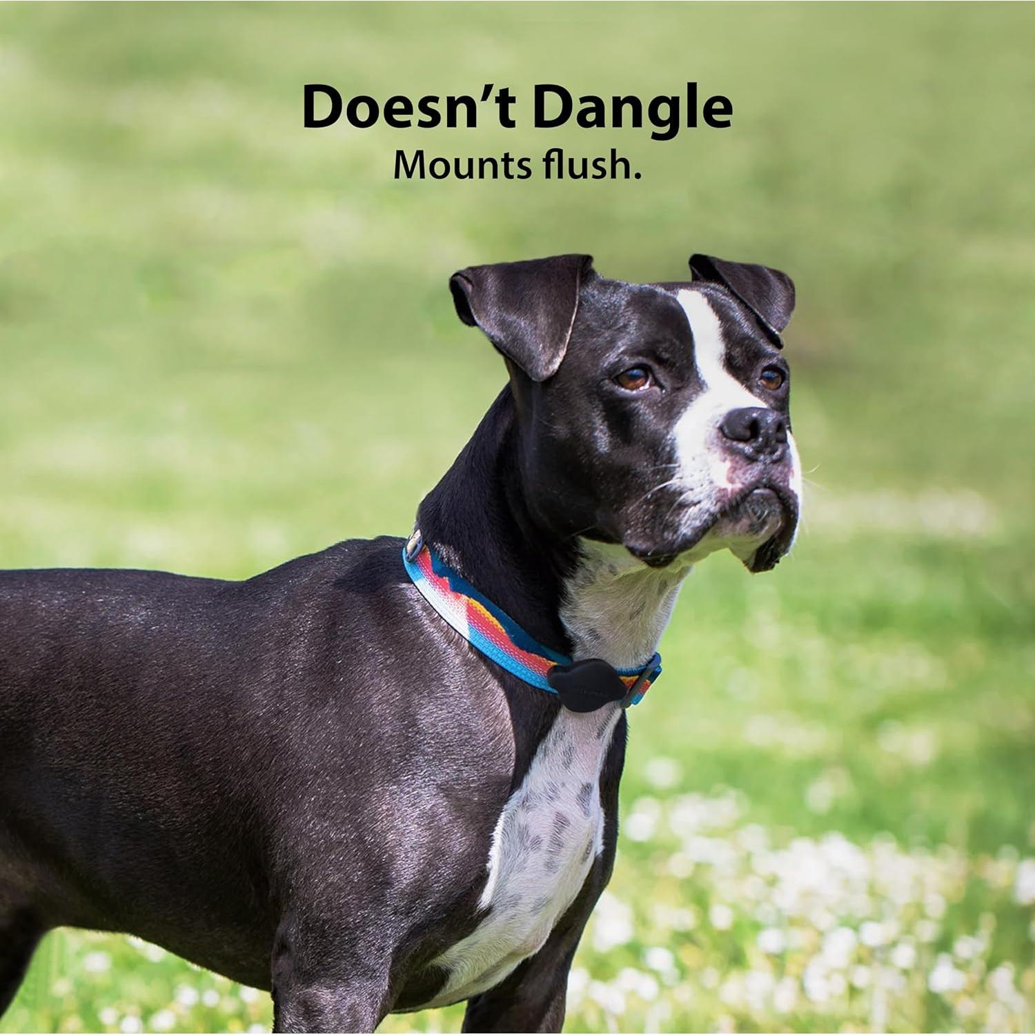 Soporte para Collar de Perro Elevation Lab TagVault - Impermeable IP68