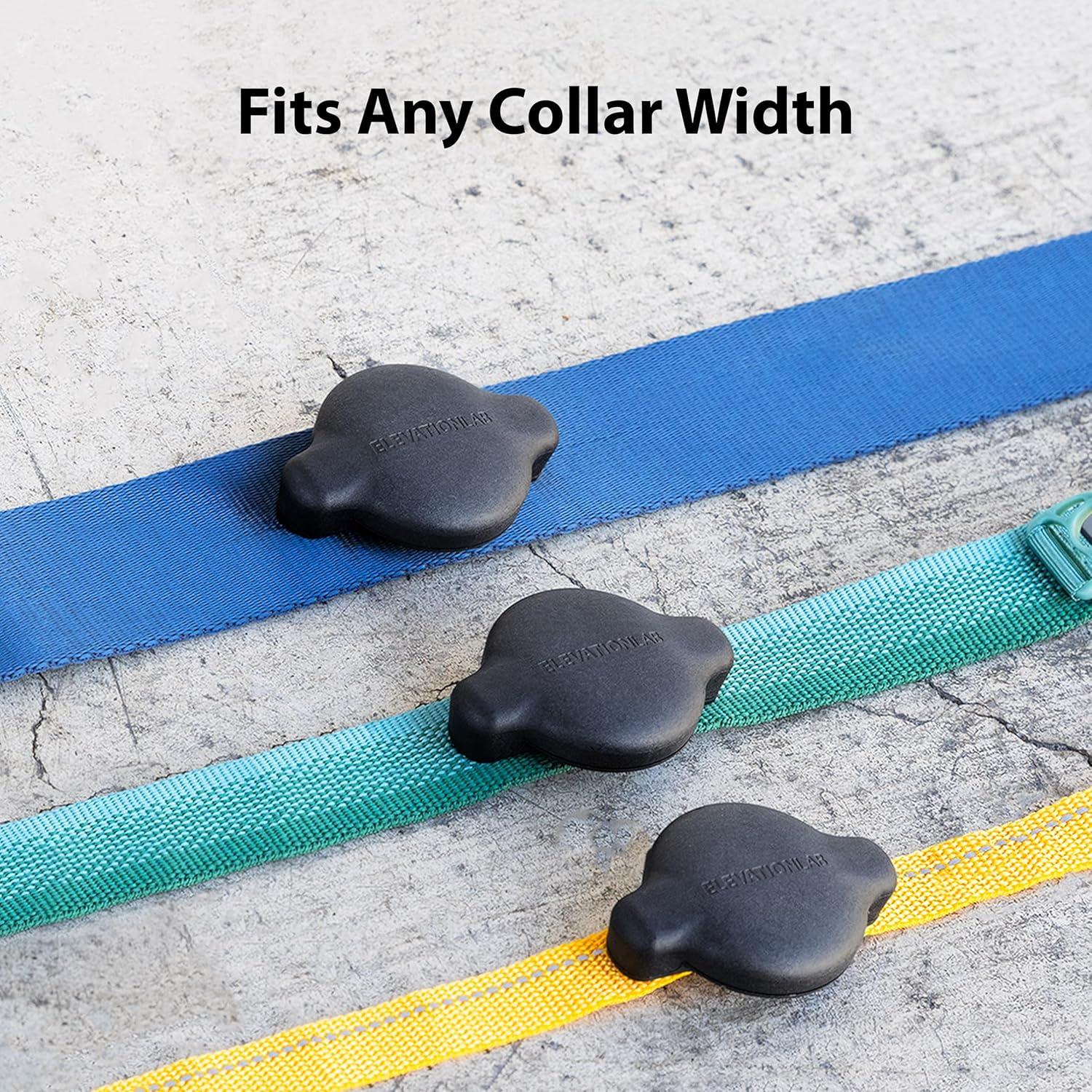 Soporte para Collar de Perro Elevation Lab TagVault - Impermeable IP68