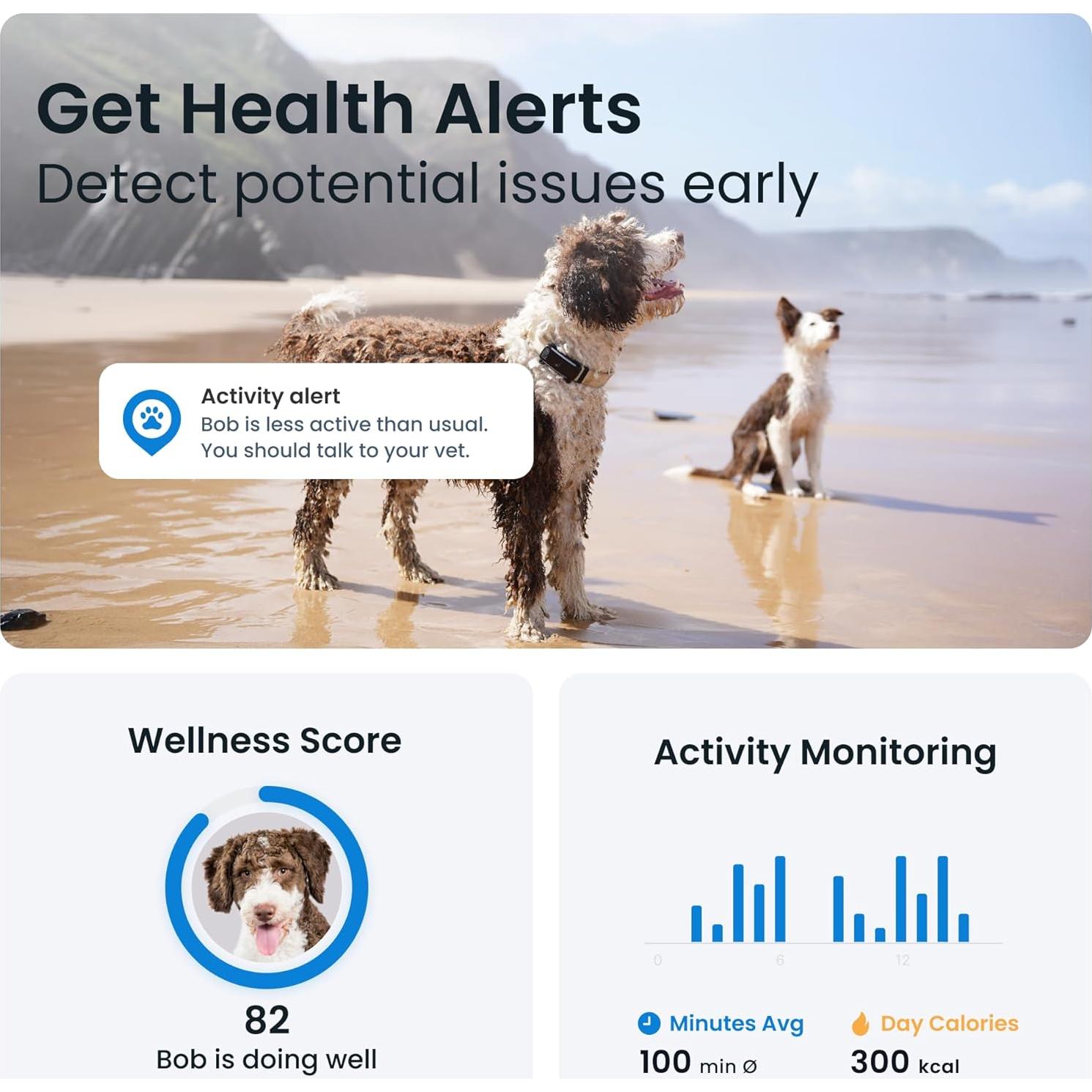 Rastreador GPS para Perros Tractive TG6A Negro - Monitoreo en Tiempo Real