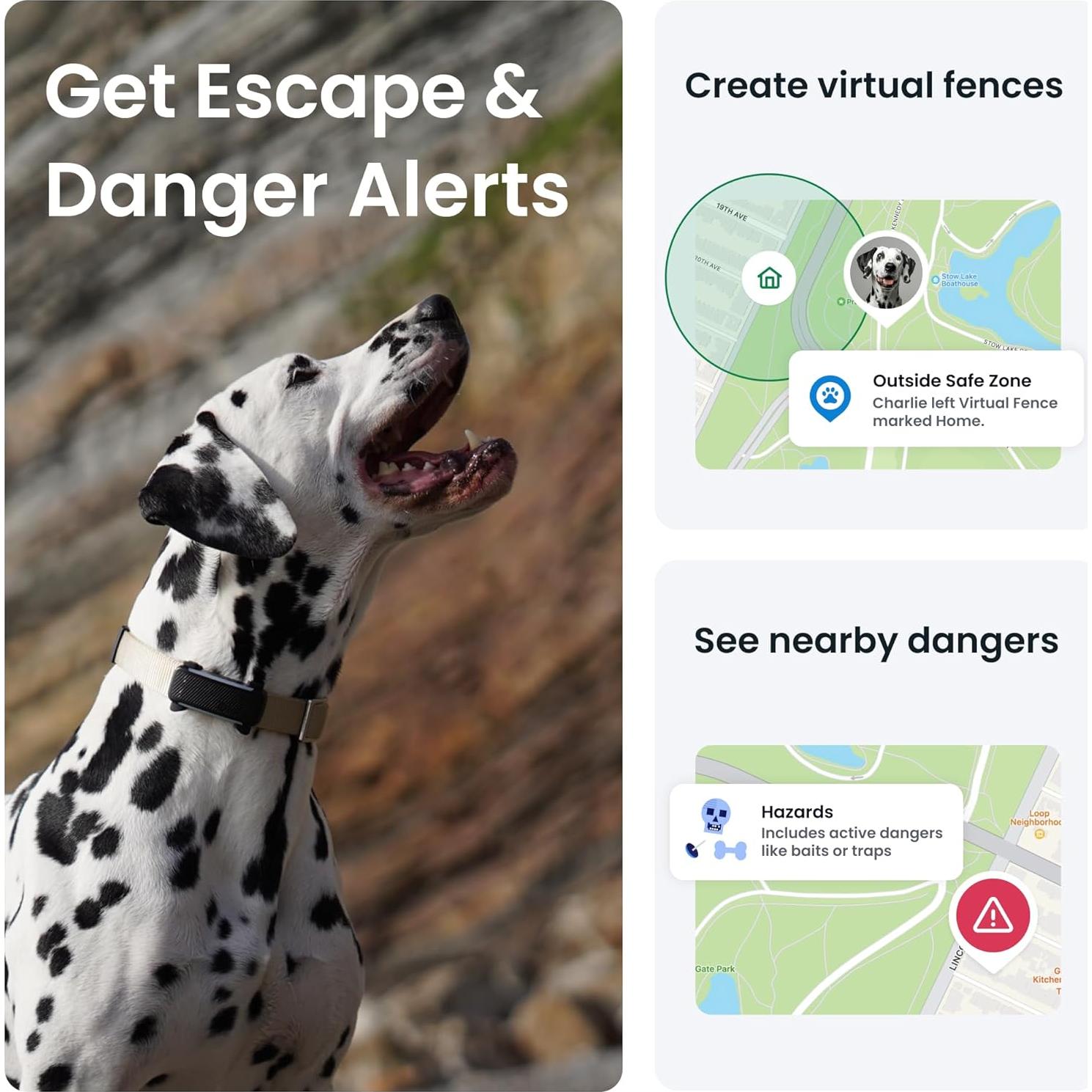 Rastreador GPS para Perros Tractive TG6A Negro - Monitoreo en Tiempo Real