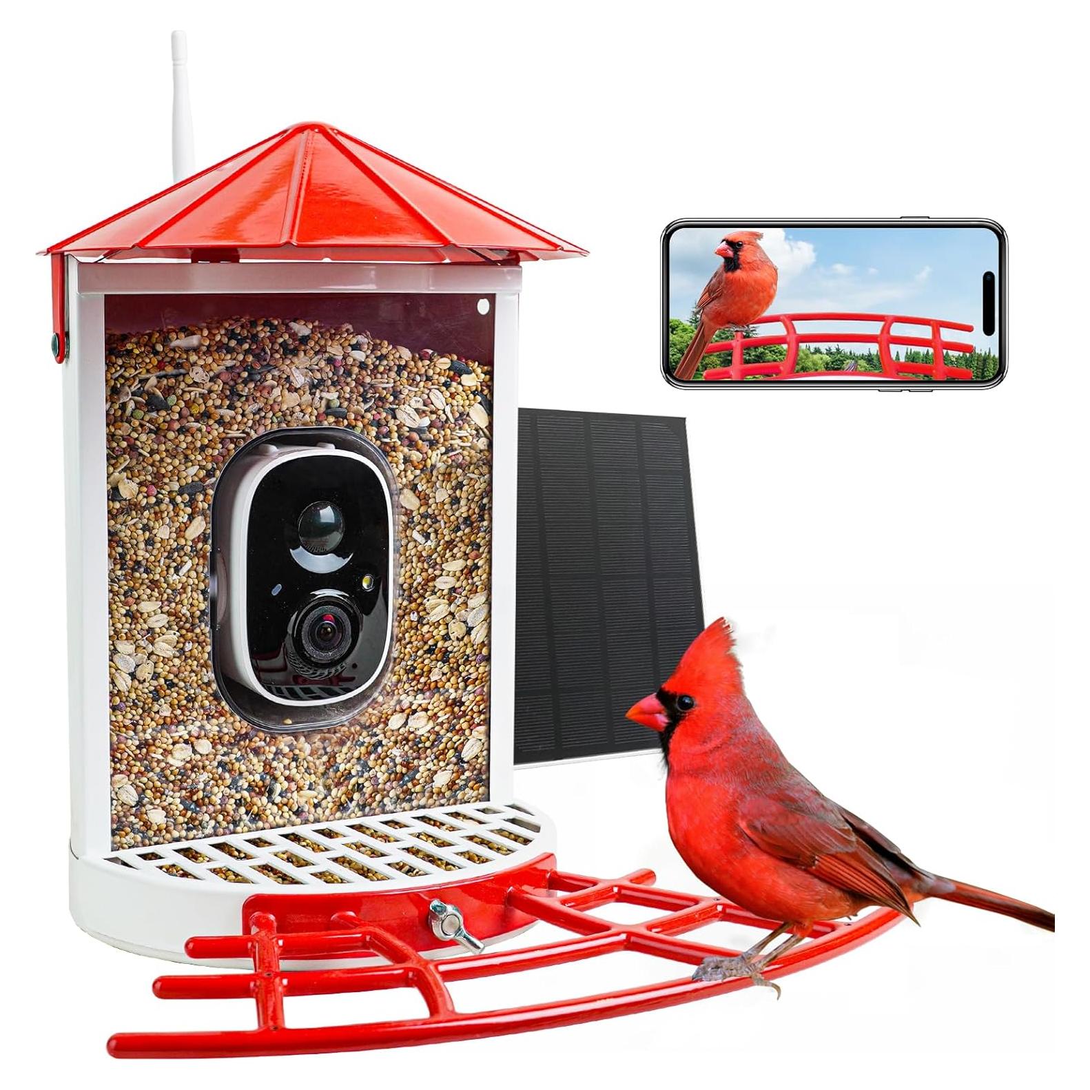 Comedero para Aves Birdkiss BF0020R con Cámara Solar