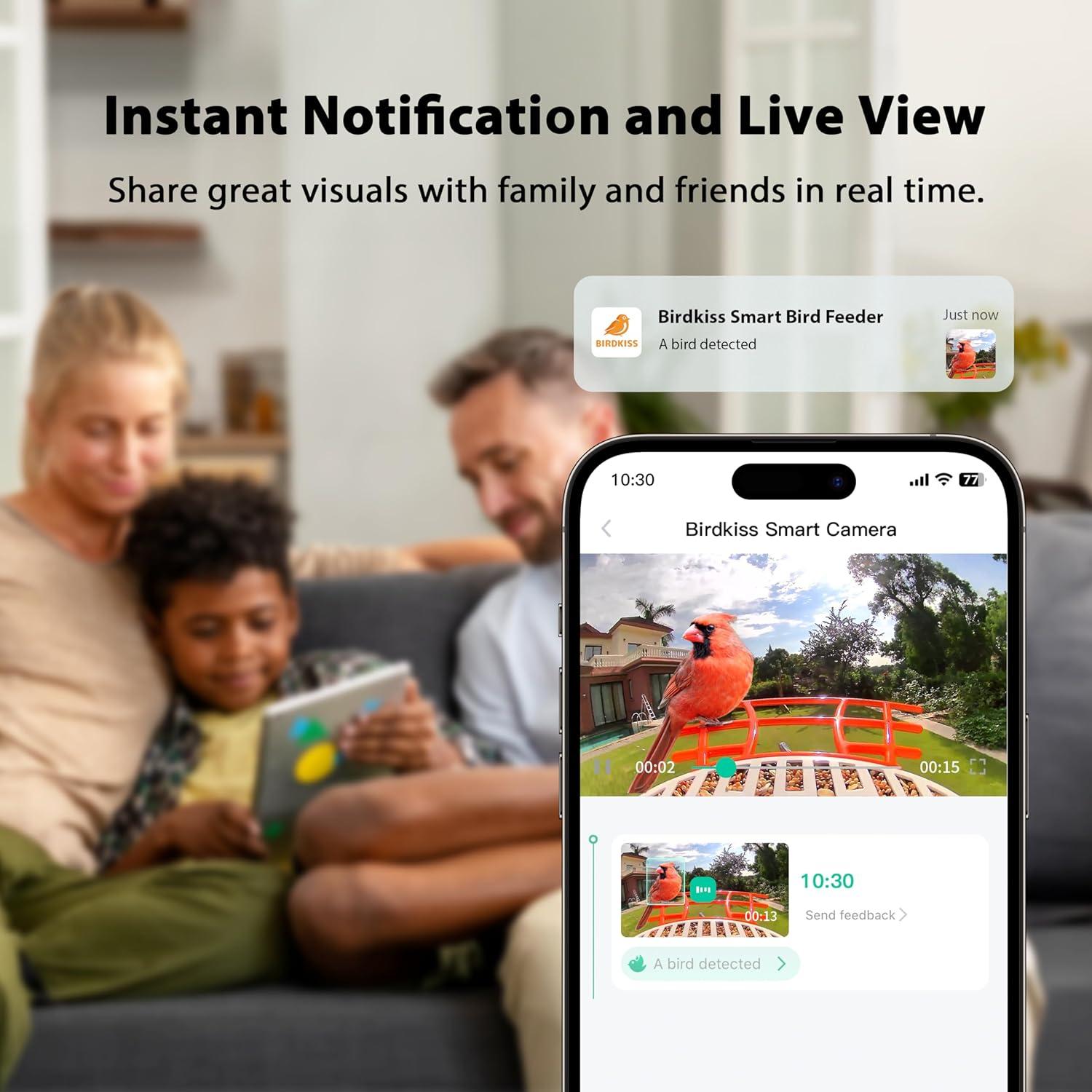 Comedero para Aves Birdkiss BF0020R con Cámara Solar