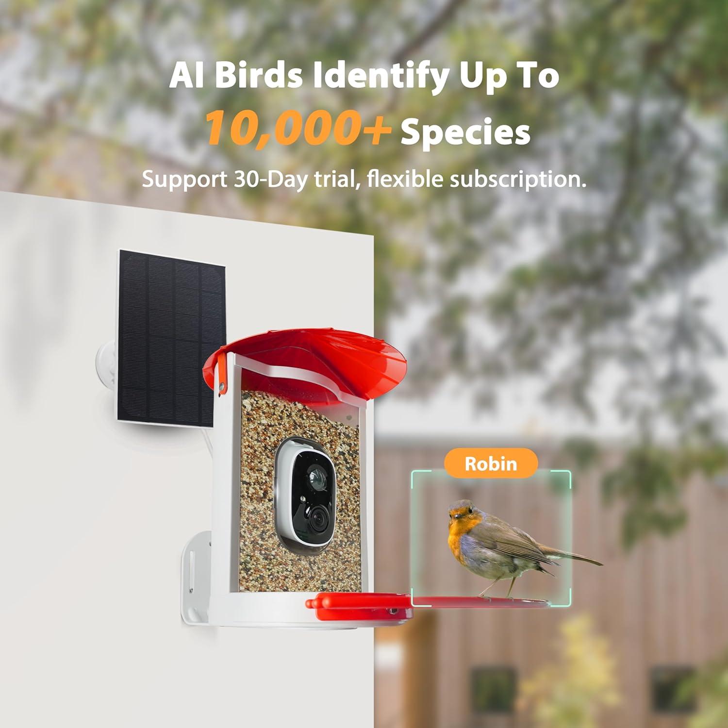 Comedero para Aves Birdkiss BF0020R con Cámara Solar