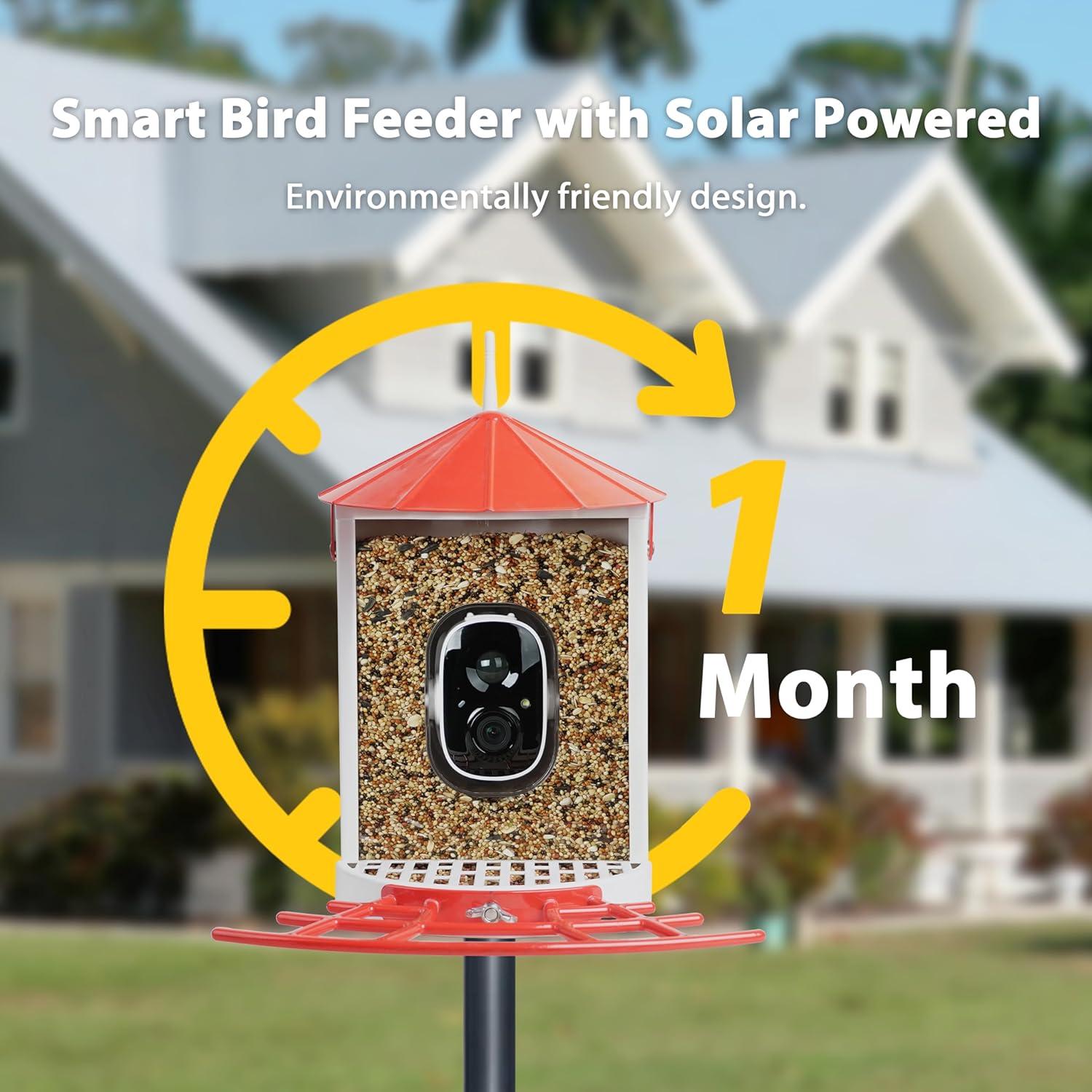 Comedero para Aves Birdkiss BF0020R con Cámara Solar