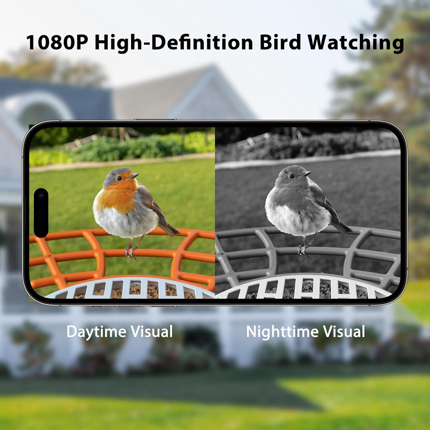 Comedero para Aves Birdkiss BF0020R con Cámara Solar