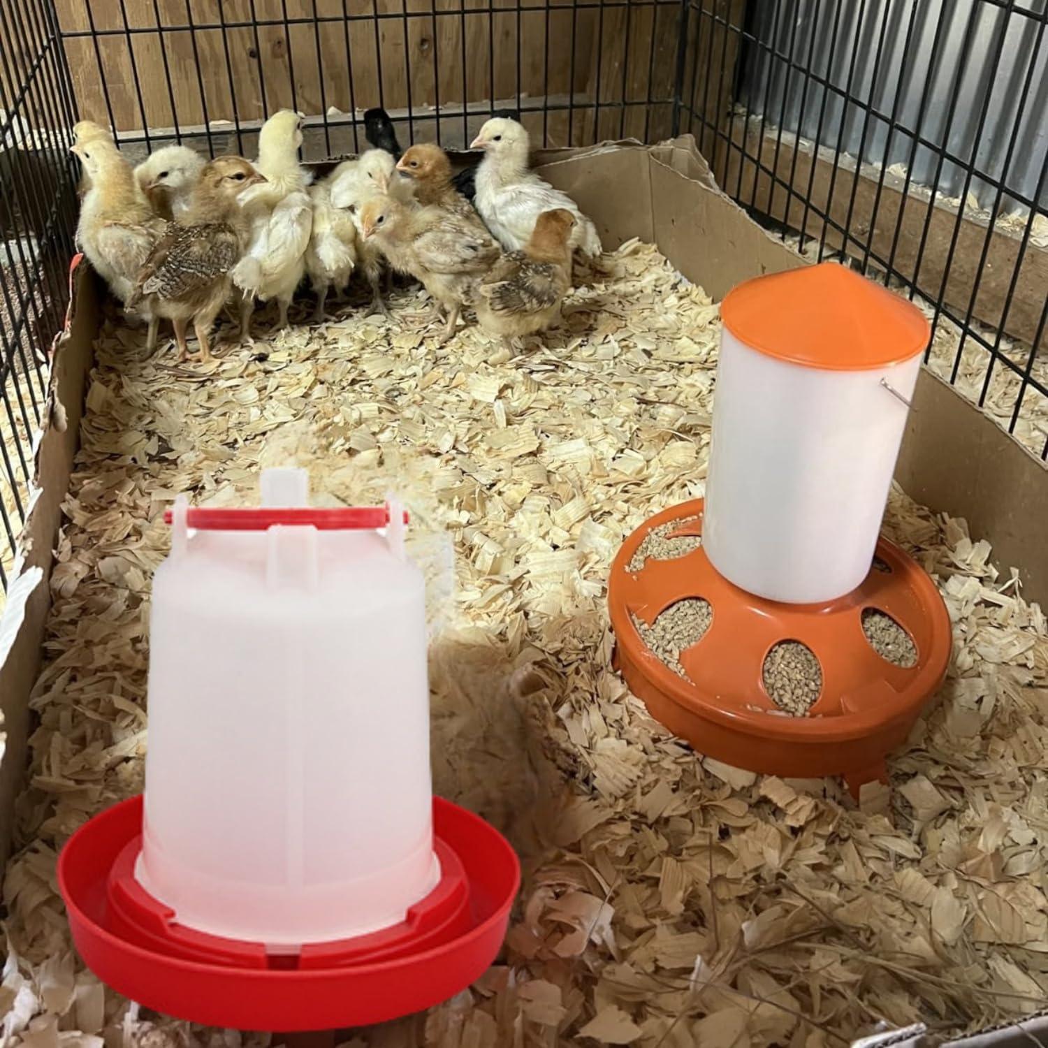 Kit Bebedero Pollo DoubleWood 4PACK 1.5L Aves Colgante