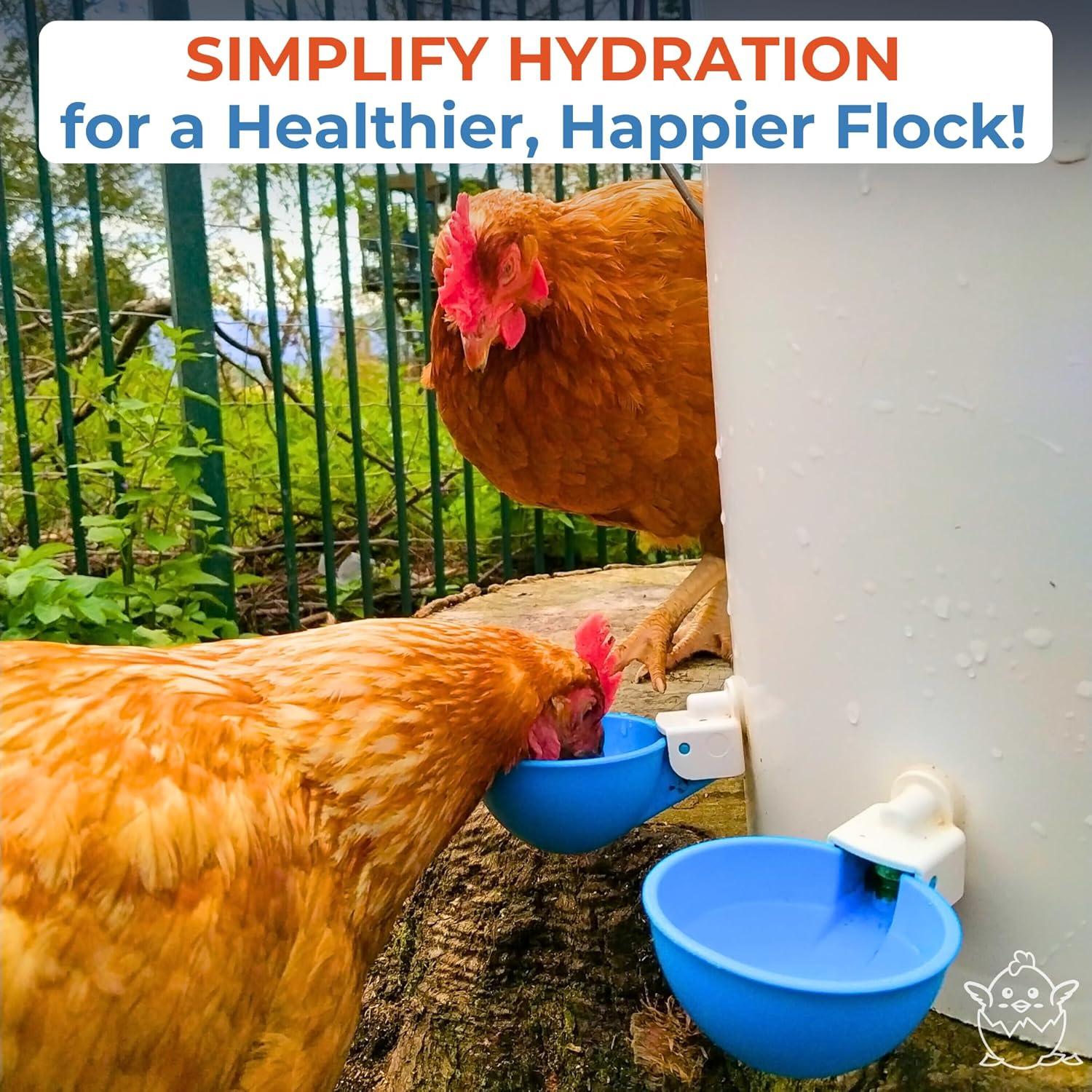 Tazas Automáticas Lil Clucker para Aves de Corral - 12 Pzs