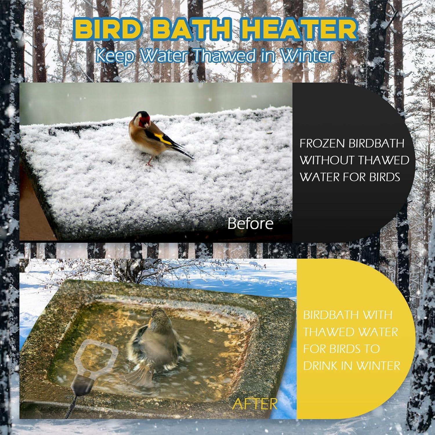 Calentador de Agua para Pollos Magoog 500W con Termostato