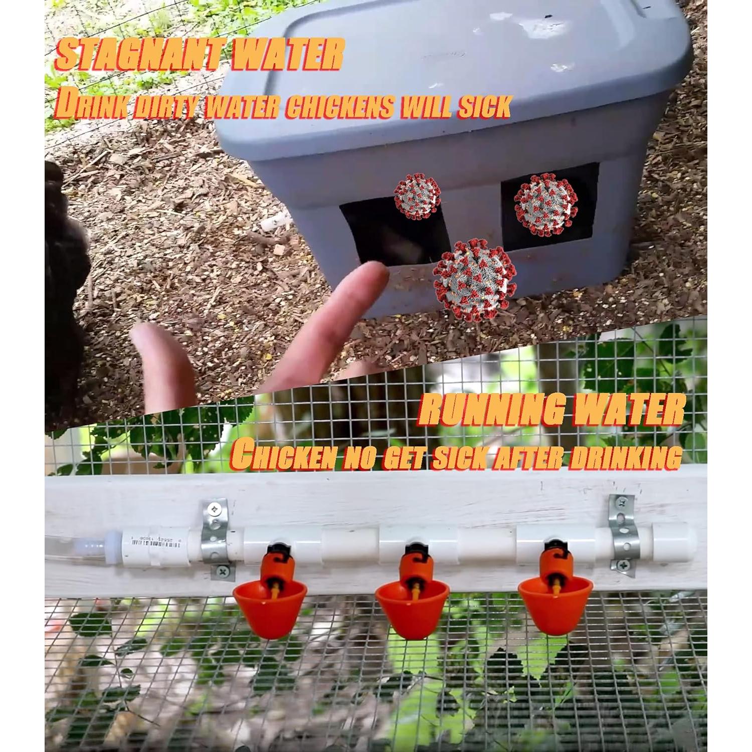 Tazas Bebederos Automáticos para Pollos HFarming 6 Piezas PVC