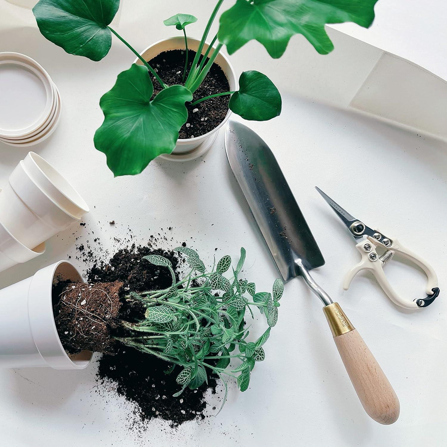 Tijeras de Poda LOOPSEED 16.5cm Acero al Carbono Ergonomicas