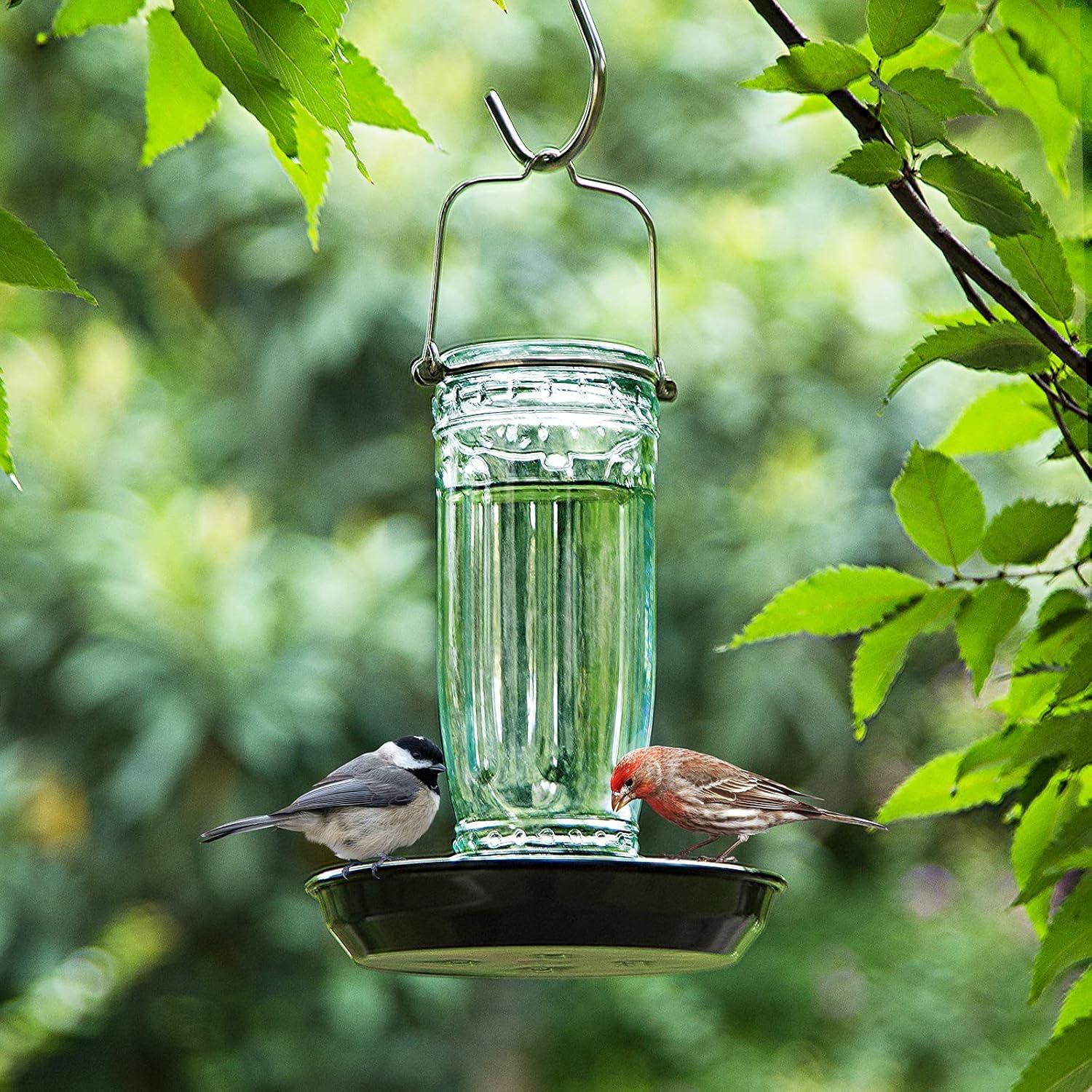 Alimentador de Agua para Aves Kingsyard 473ml Colgante Verde