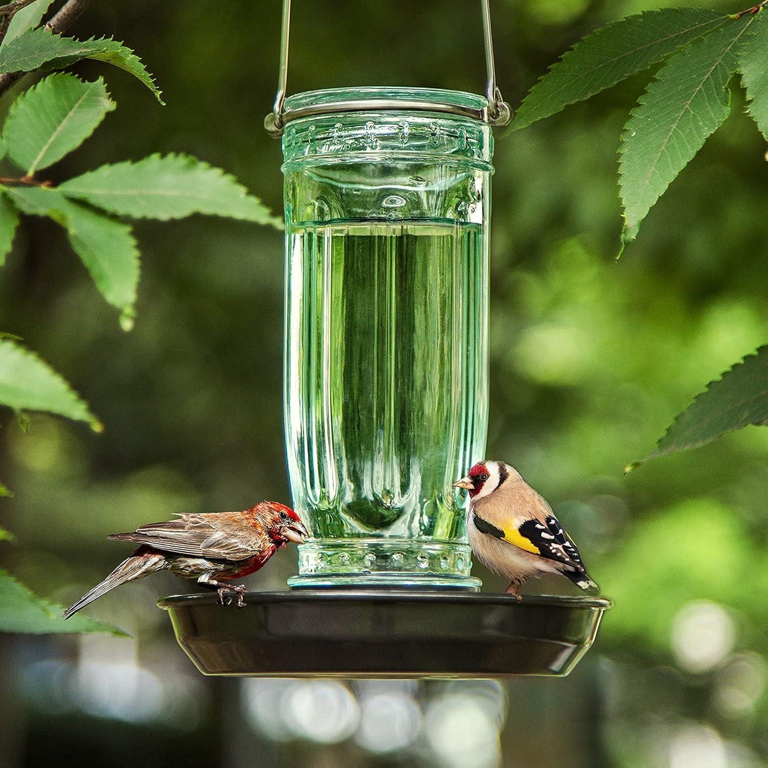 Alimentador de Agua para Aves Kingsyard 473ml Colgante Verde