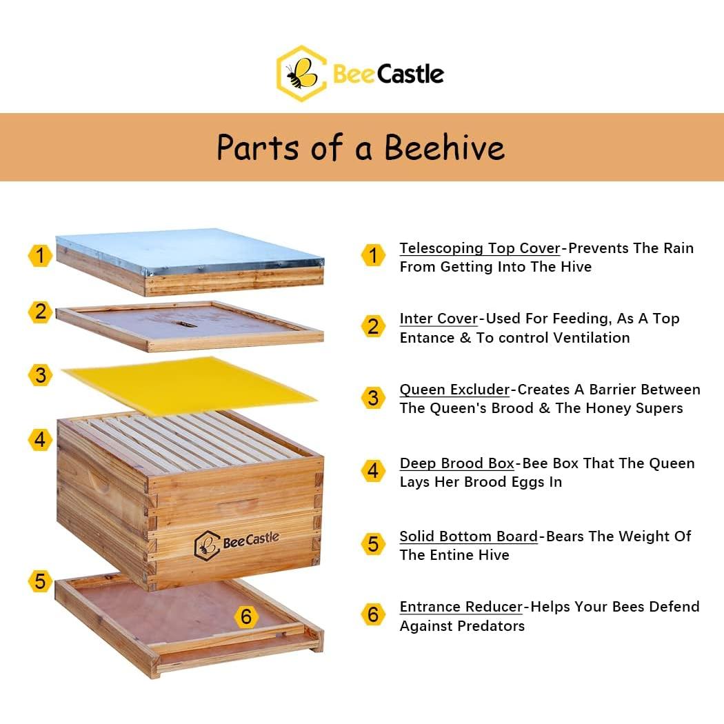 Kit de Colmena BeeCastle 10 Marcos + Herramientas y Traje