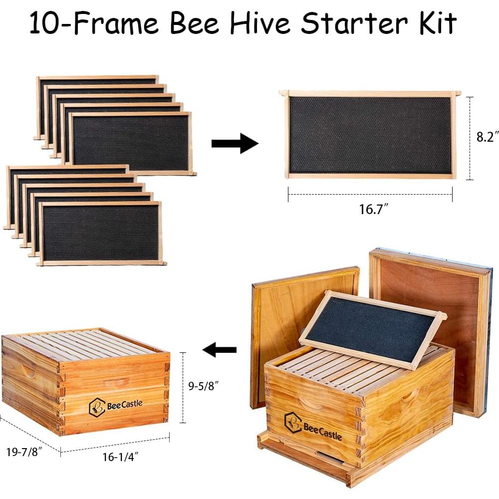 Kit de Colmena BeeCastle 10 Marcos + Herramientas y Traje