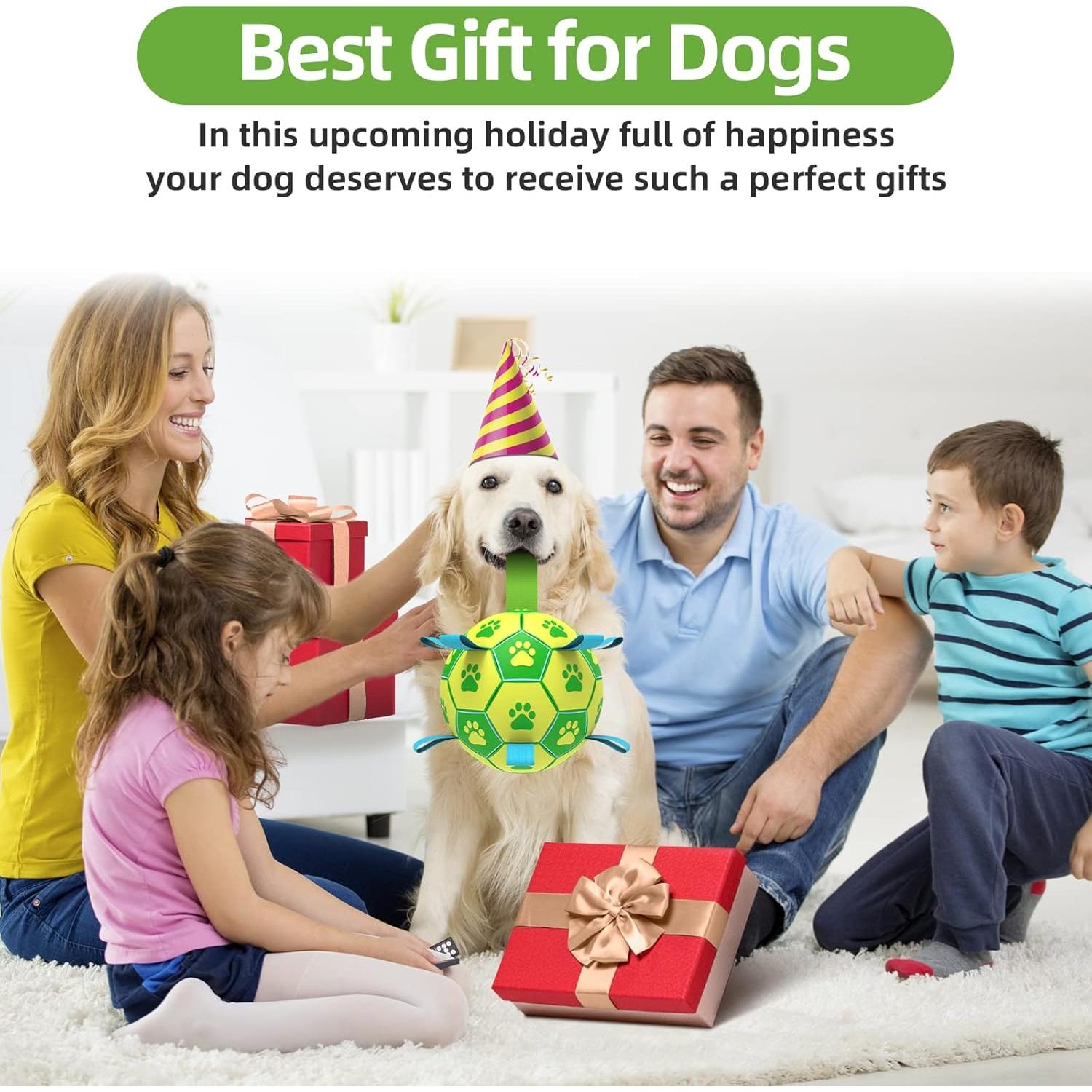 Pelota de Fútbol para Perros QDAN 15.24 cm Verde Amarillo