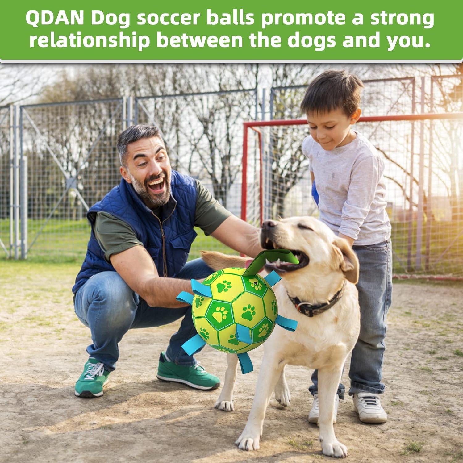 Pelota de Fútbol para Perros QDAN 15.24 cm Verde Amarillo