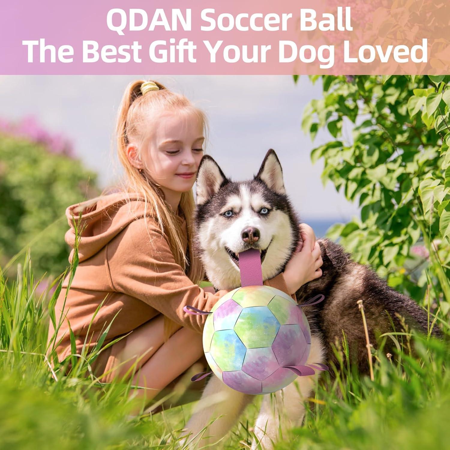 Balón de Fútbol para Perros QDAN Extra Grande 23 cm Arcoíris
