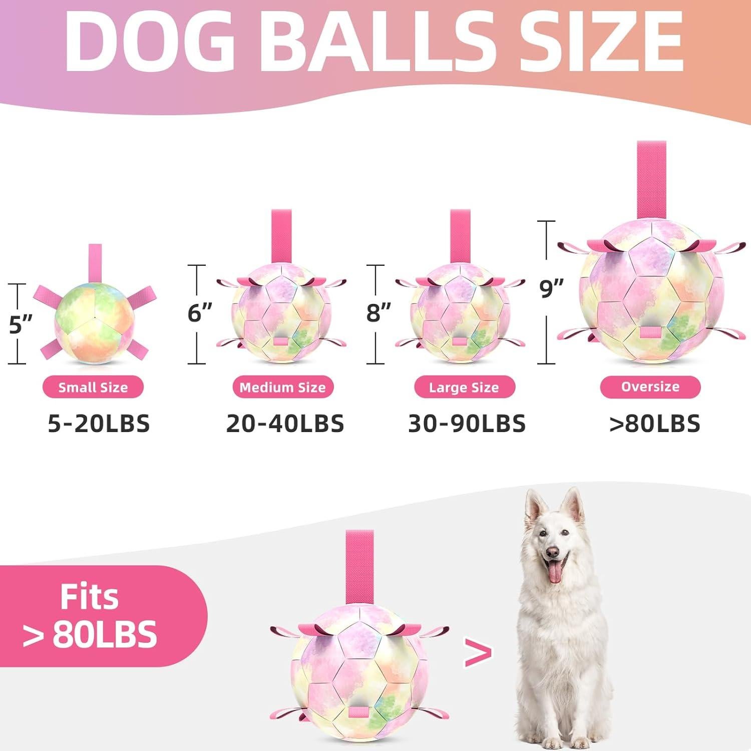 Balón de Fútbol para Perros QDAN Extra Grande 23 cm Arcoíris