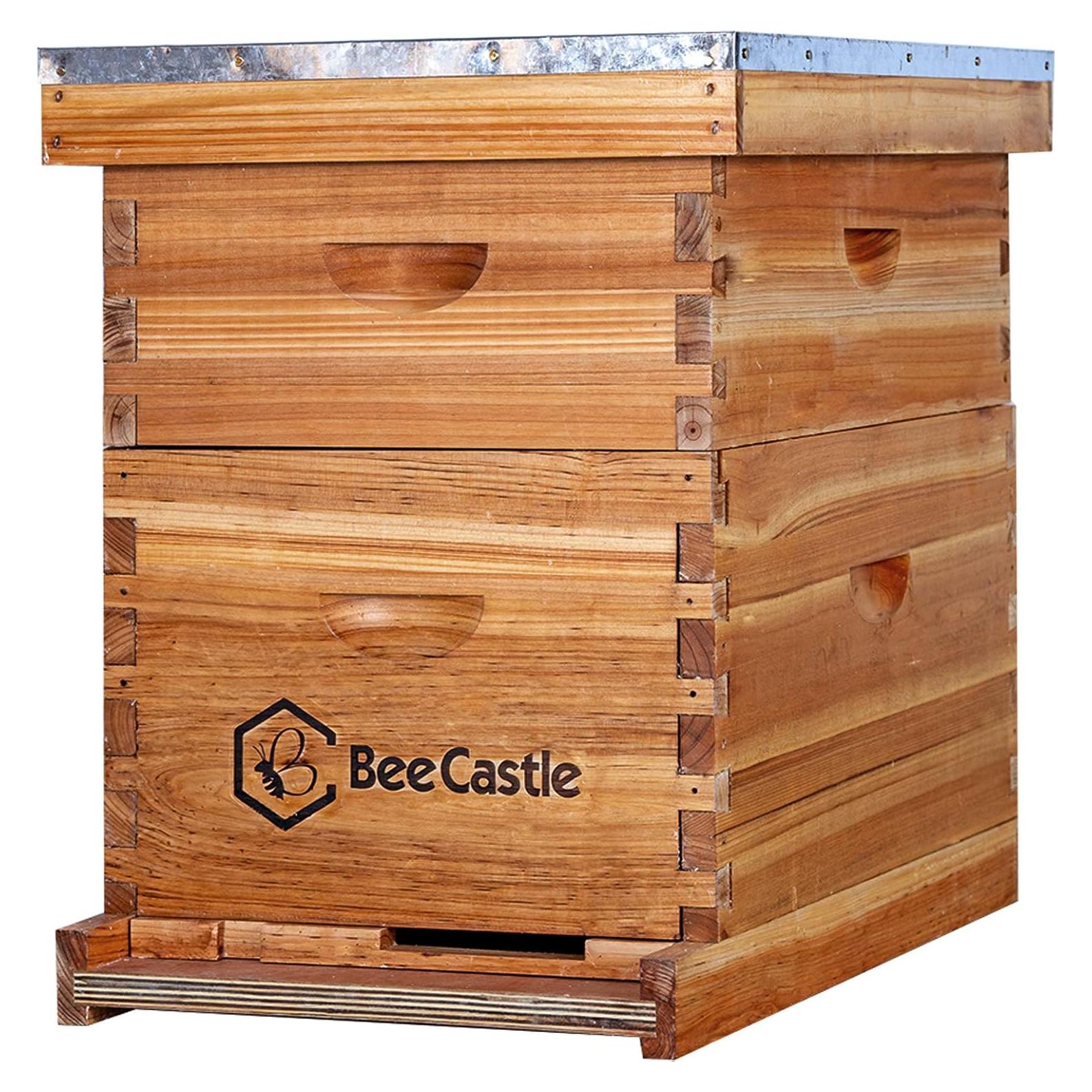 Colmena completa BeeCastle 10 cuadros cera de abejas