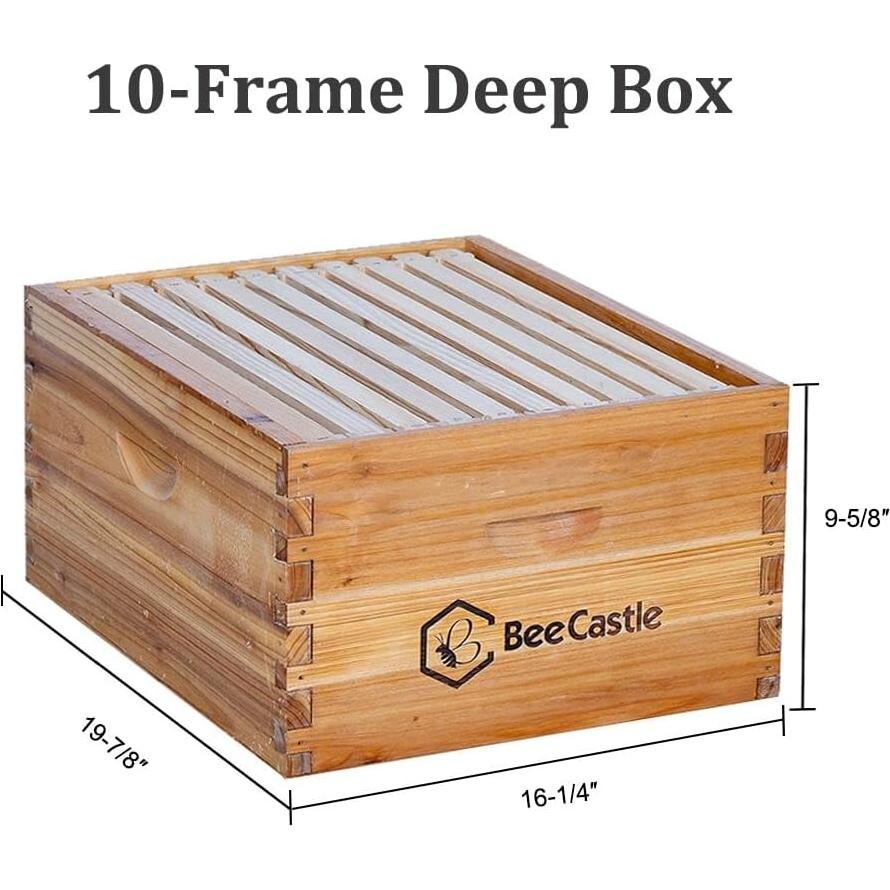 Colmena completa BeeCastle 10 cuadros cera de abejas