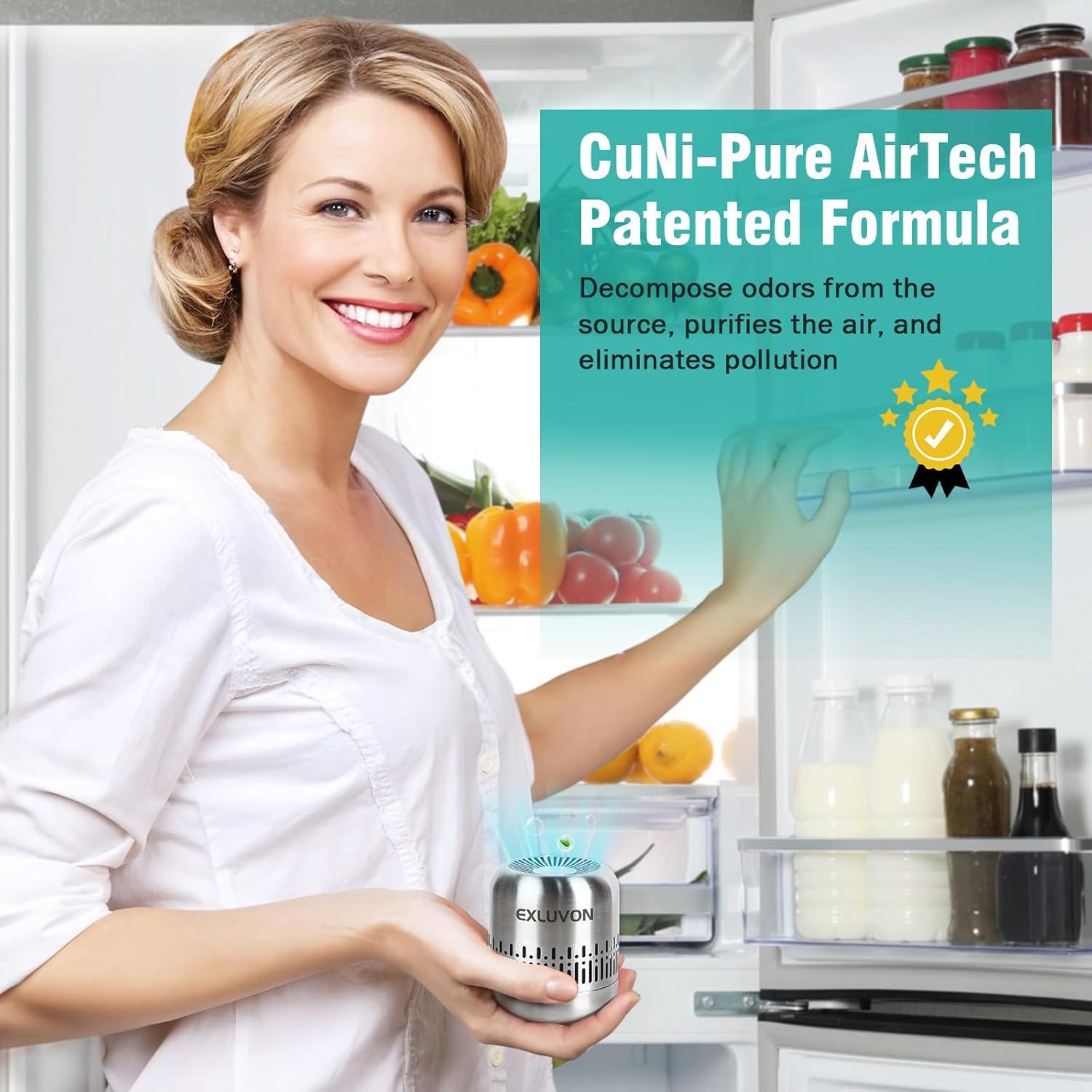 Desodorante de Refrigerador Exluvon 10 Años Ecológico Plata