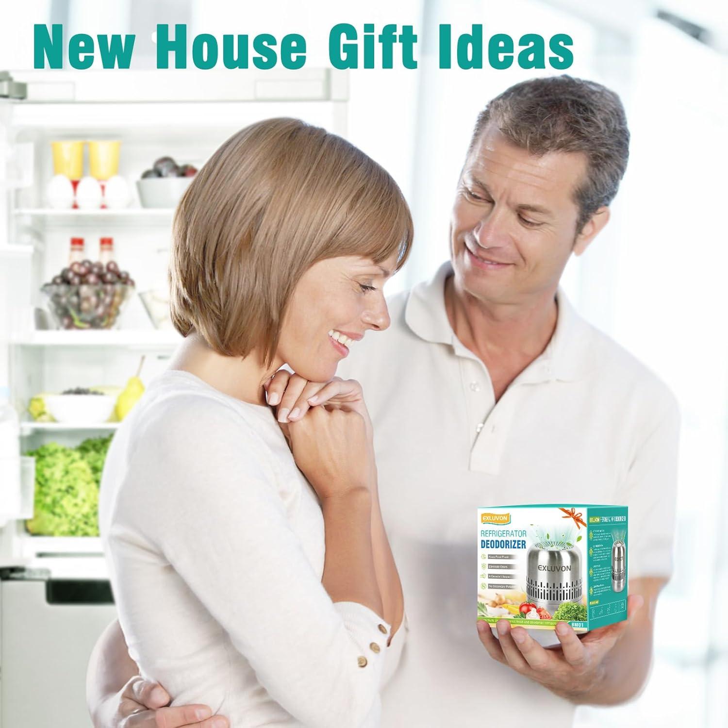 Desodorante de Refrigerador Exluvon 10 Años Ecológico Plata