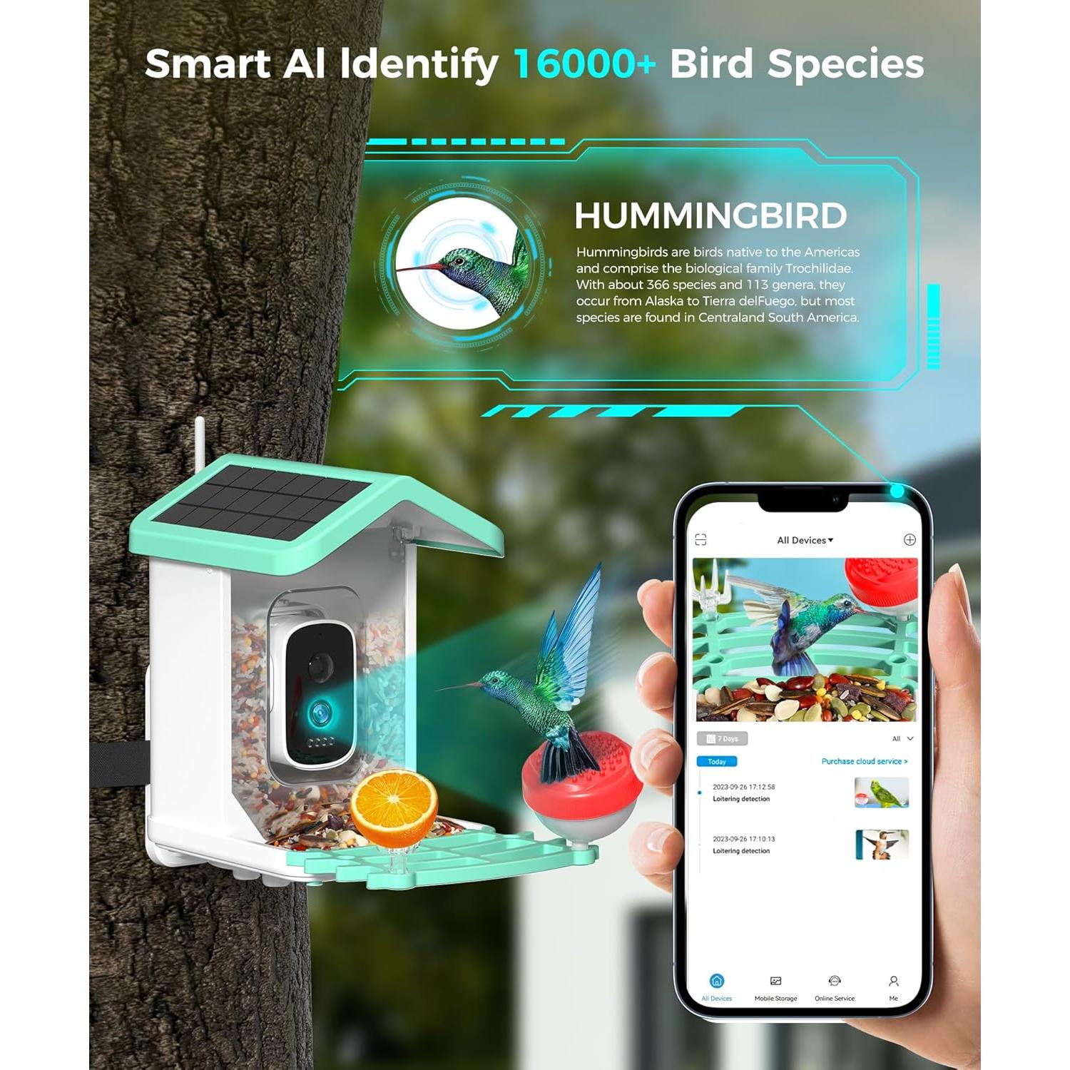 Comedero para Aves Azonanor con Cámara 4K y Solar
