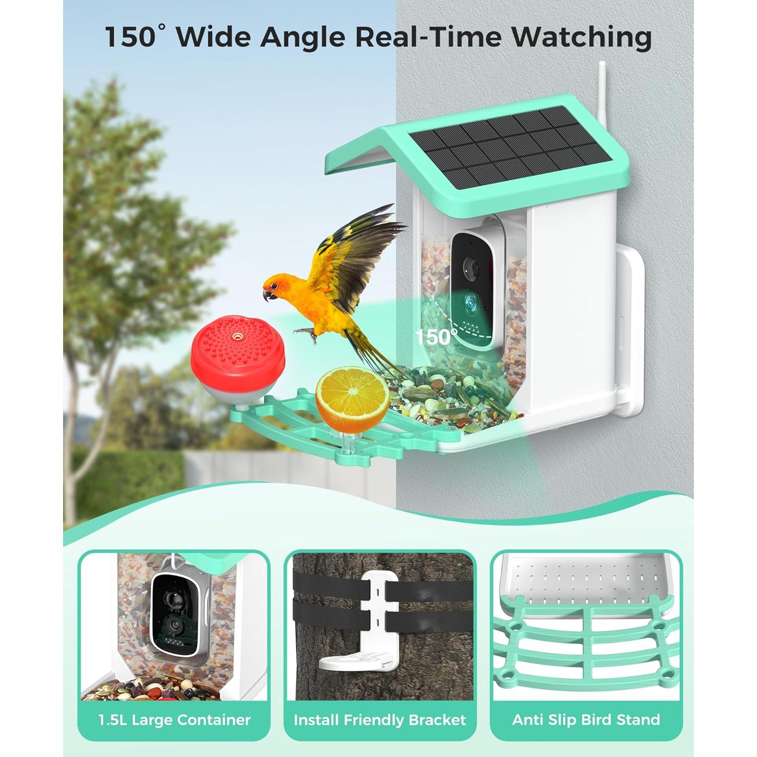 Comedero para Aves Azonanor con Cámara 4K y Solar