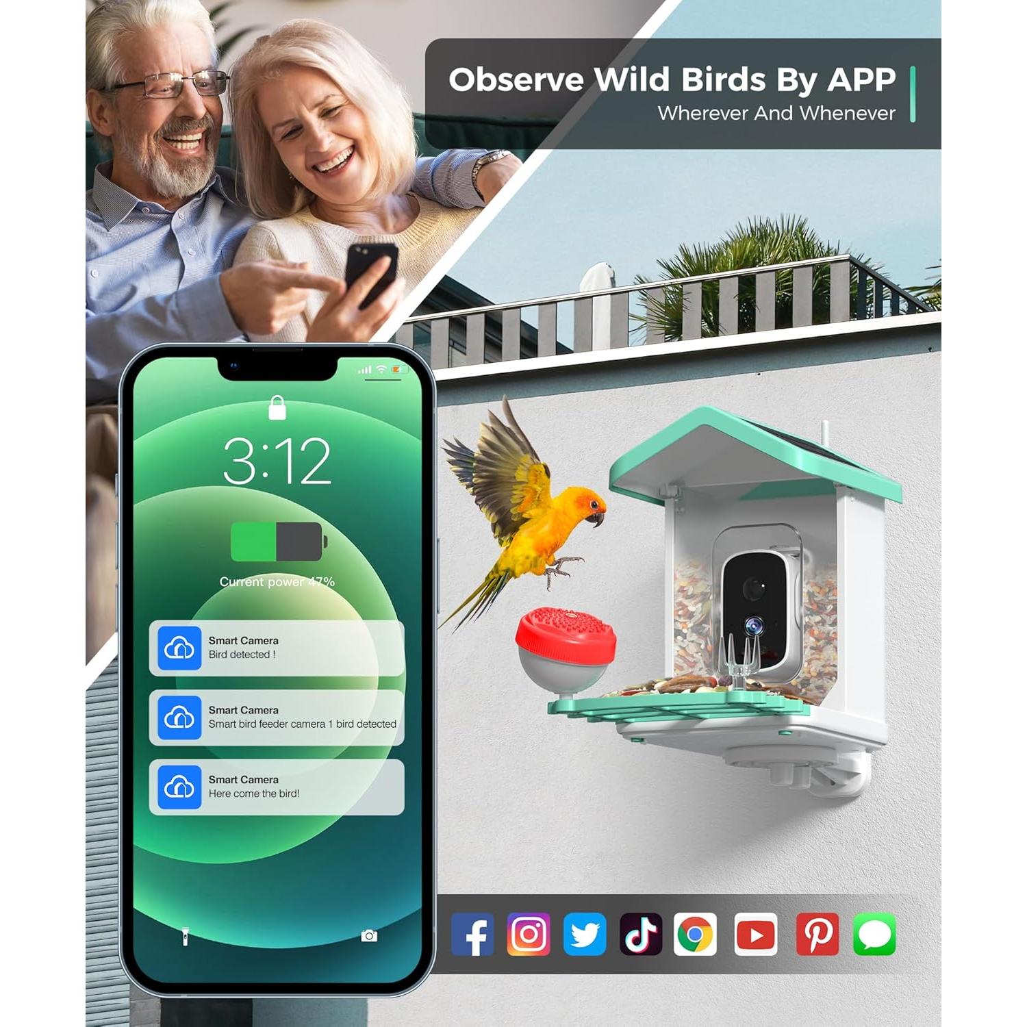 Comedero para Aves Azonanor con Cámara 4K y Solar