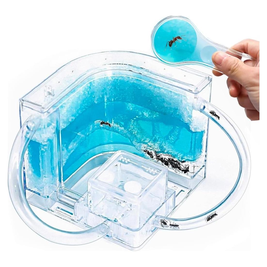 Castillo de Hormigas 2.0 NAVADEAL con Tubo Conector