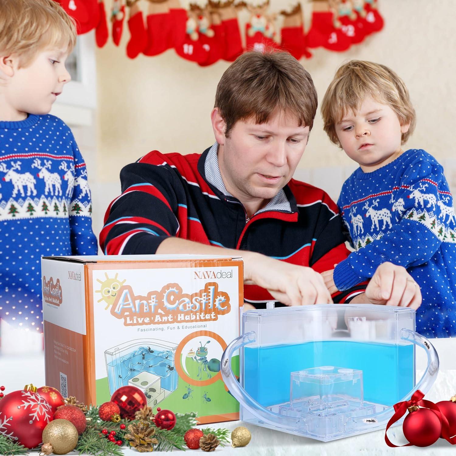 Castillo de Hormigas 2.0 NAVADEAL con Tubo Conector