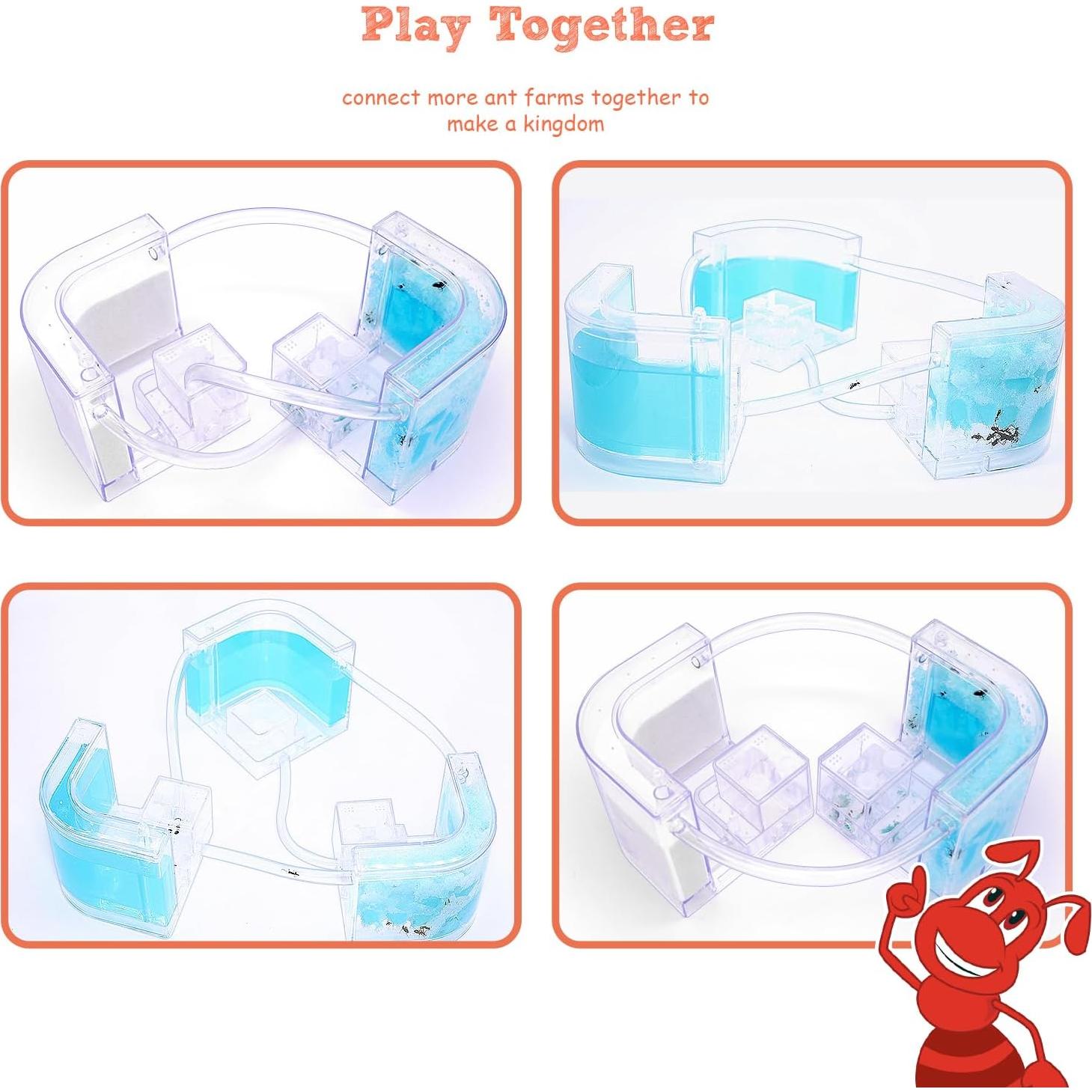 Castillo de Hormigas 2.0 NAVADEAL con Tubo Conector