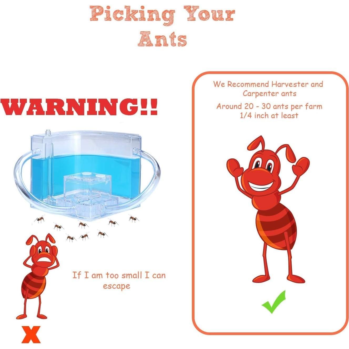 Castillo de Hormigas 2.0 NAVADEAL con Tubo Conector