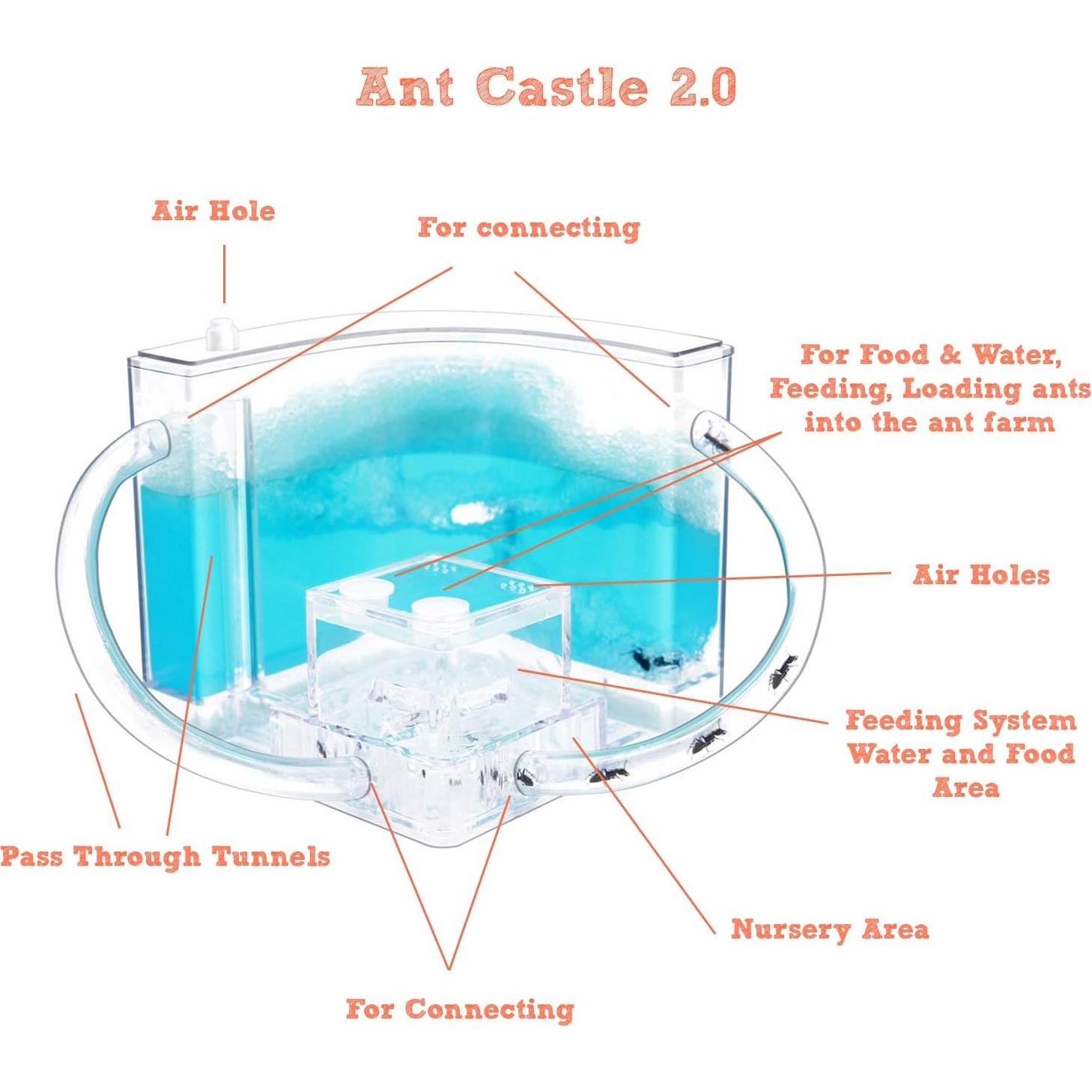 Castillo de Hormigas 2.0 NAVADEAL con Tubo Conector