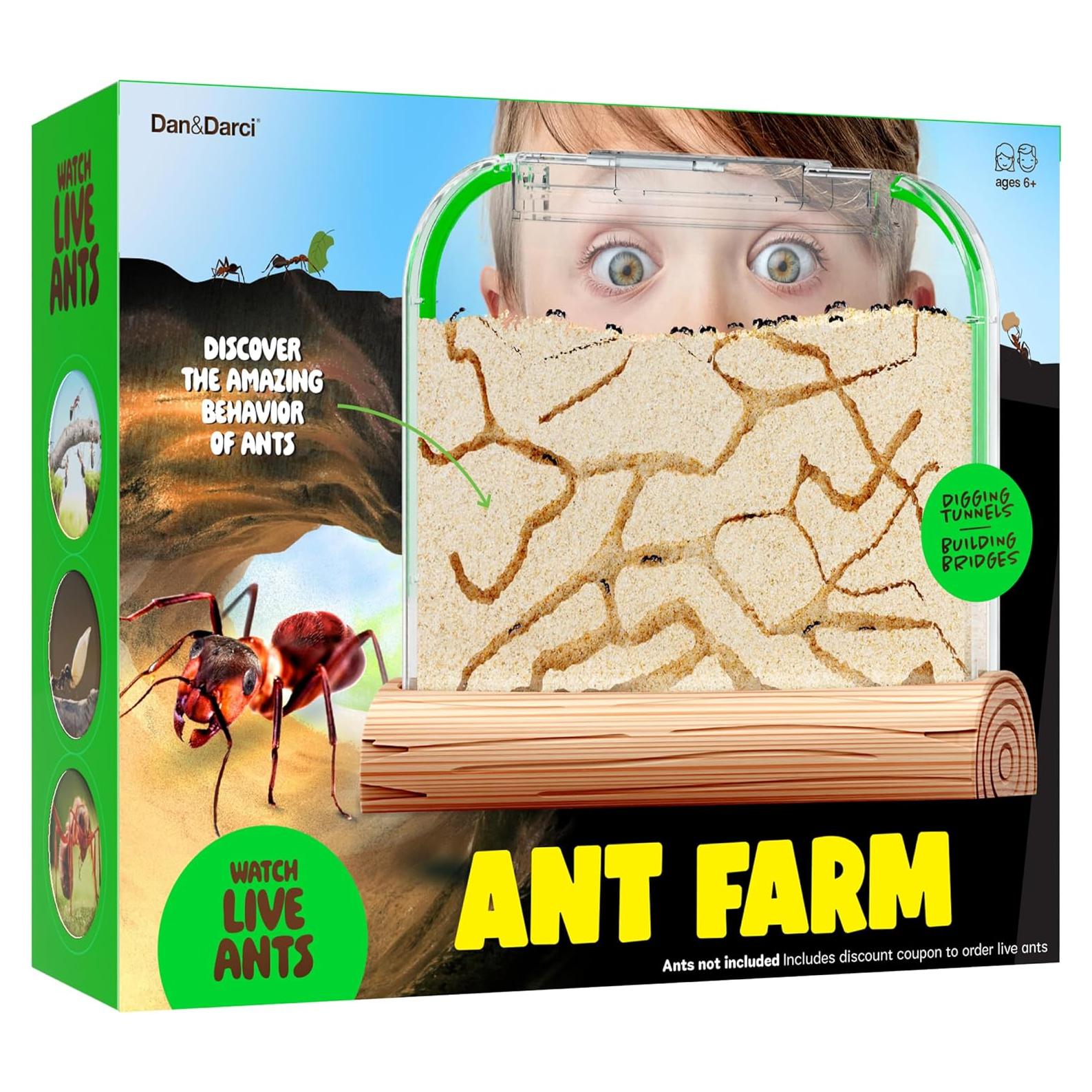 Kit de Granja de Hormigas Dan&Darci - Terrario Educativo