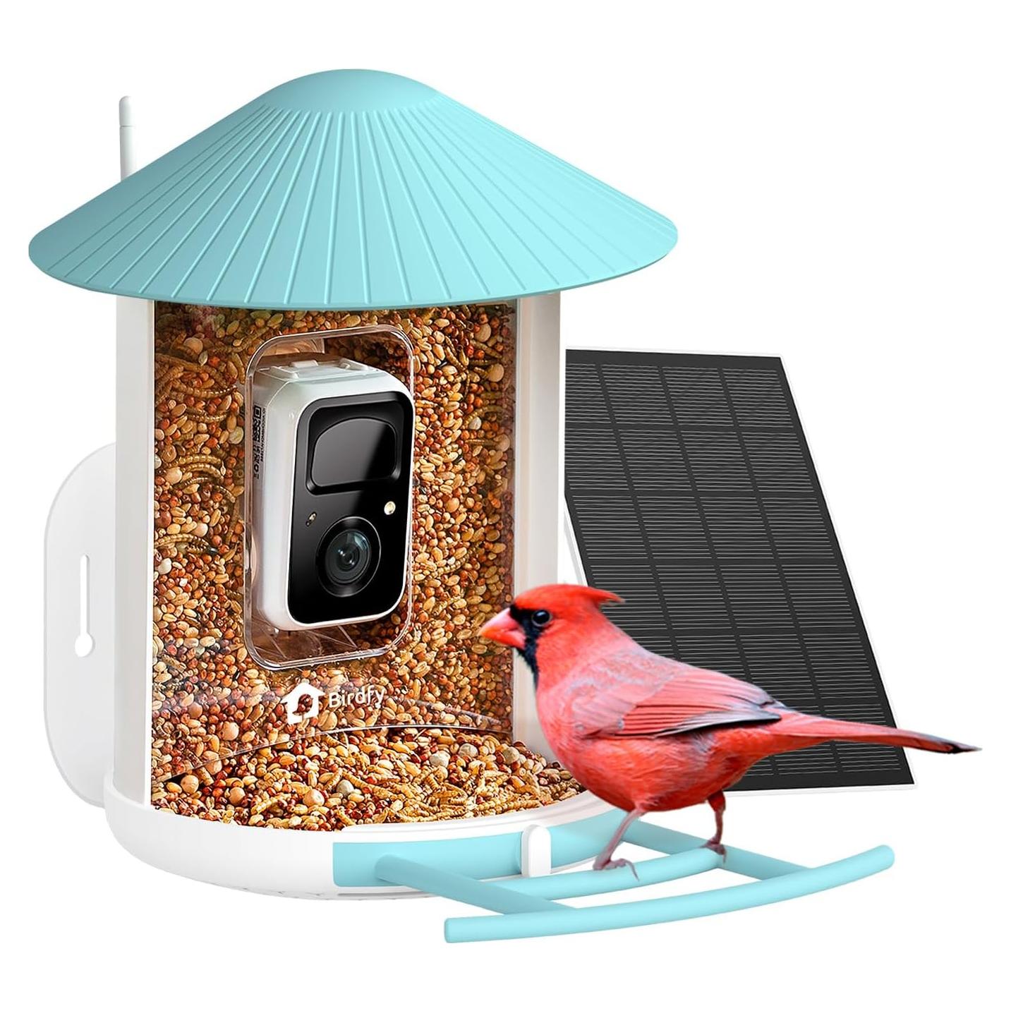 Comedero Inteligente NETVUE Birdfy con Cámara 1080P Azul