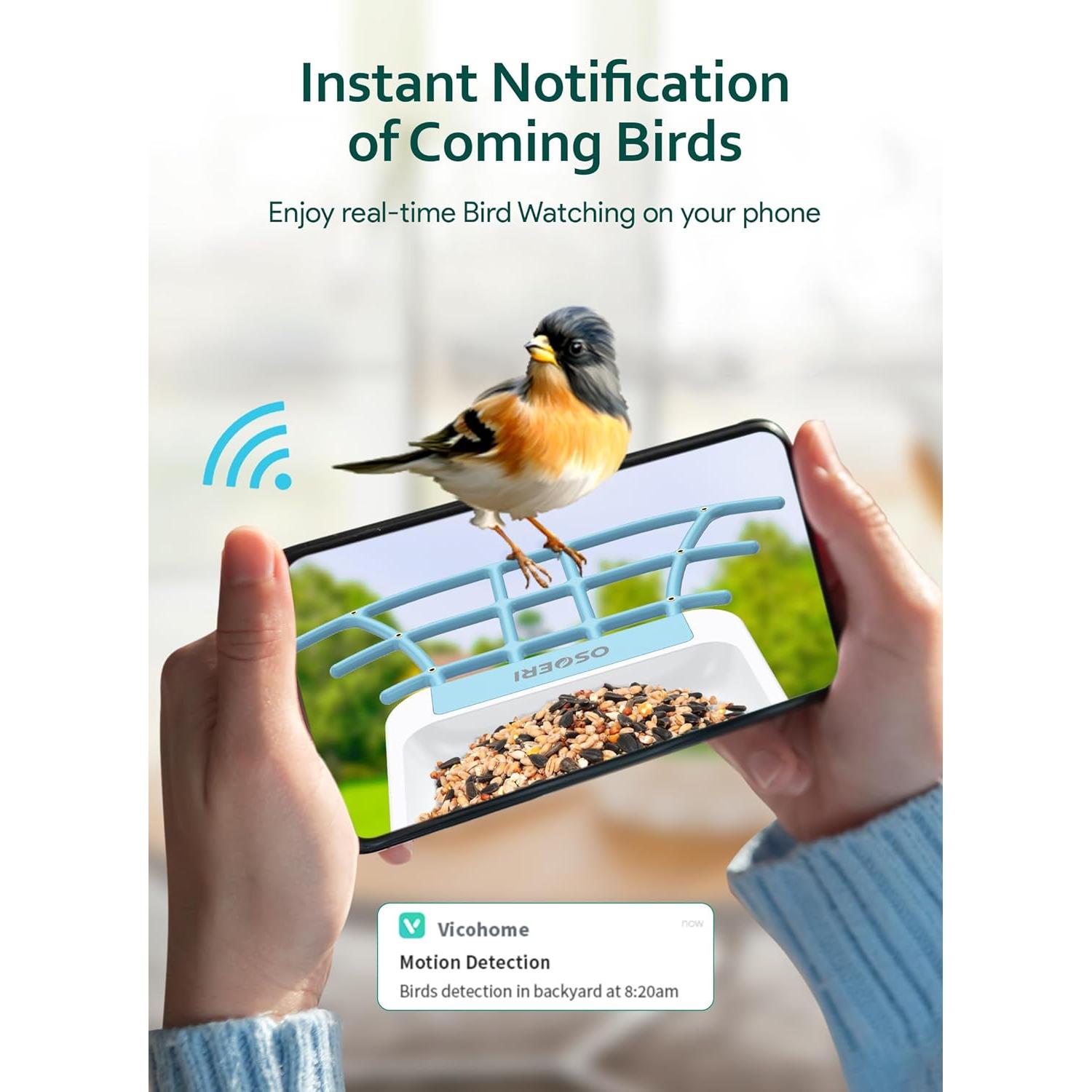 Comedero para Aves Osoeri con Cámara HD 1080P Solar
