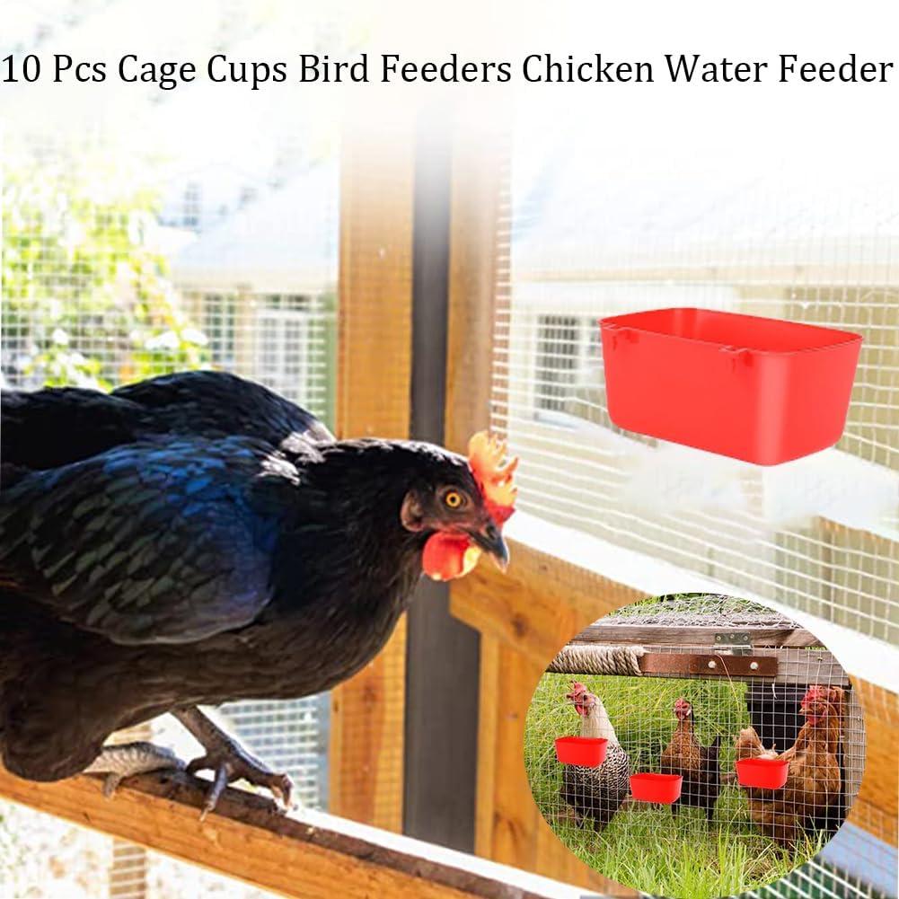 Paquete de 10 tazas cuadradas Rxsdeni para aves y pollos
