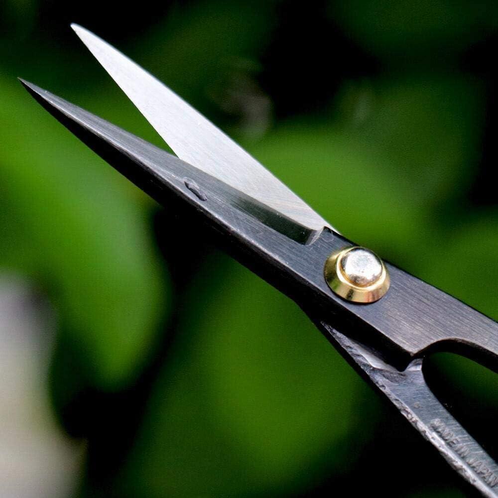 Kit de herramientas bonsái Wazakura - Tijeras y cortador 200 mm