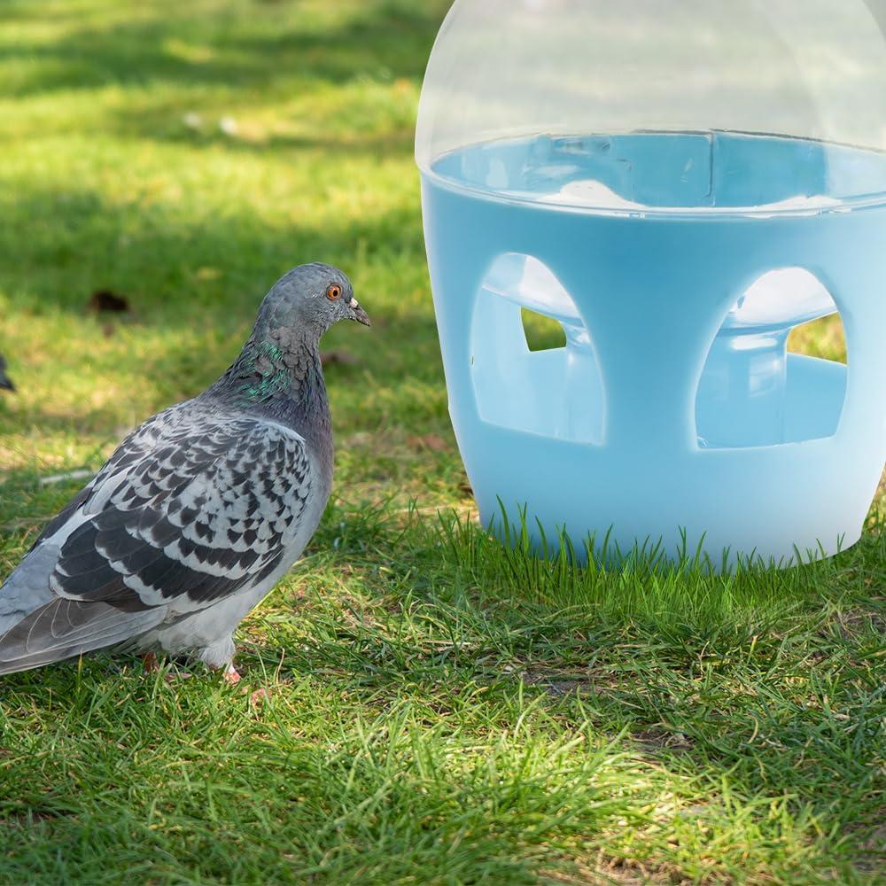 Dispensador de Agua DQITJ 2L para Palomas y Aves de Corral