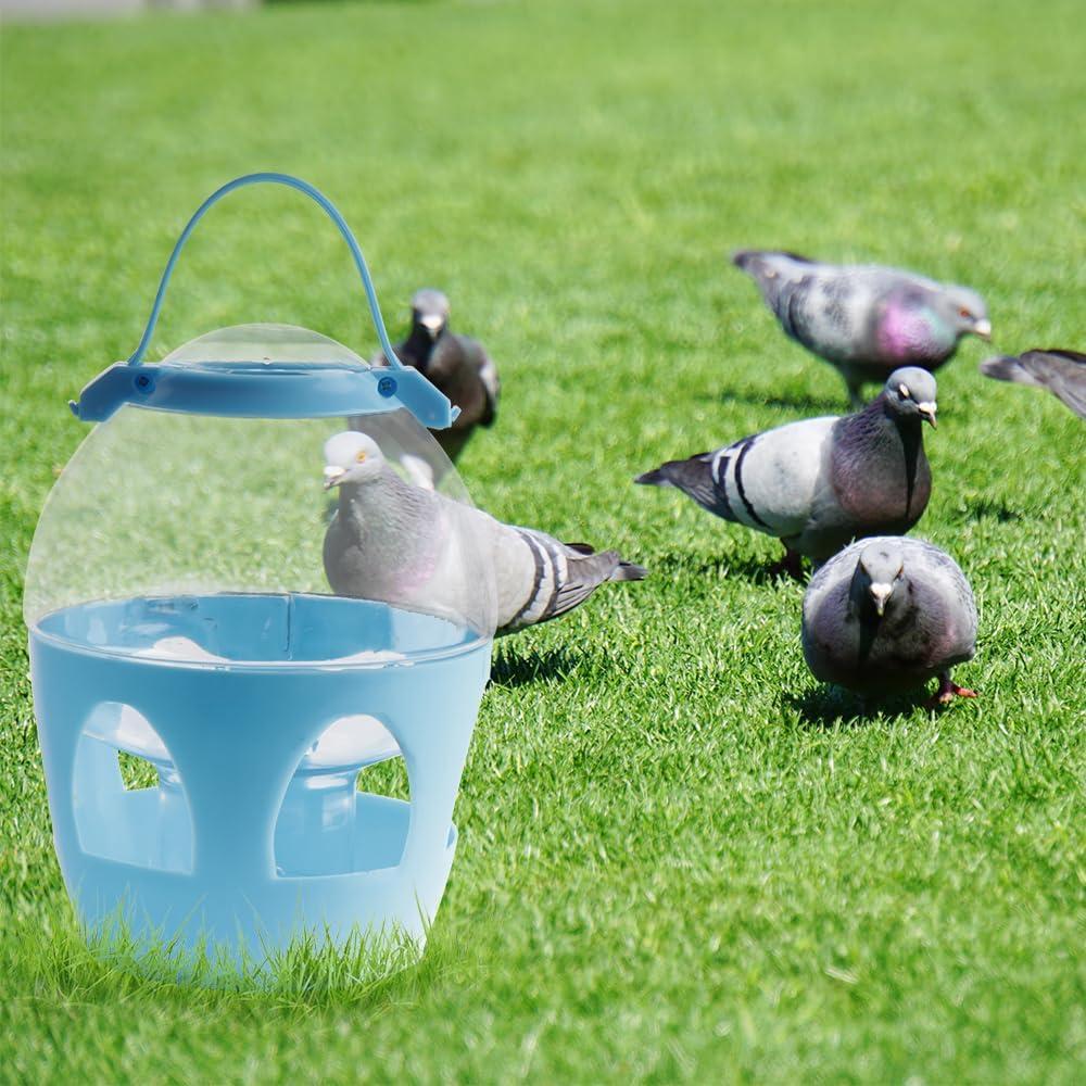 Dispensador de Agua DQITJ 2L para Palomas y Aves de Corral