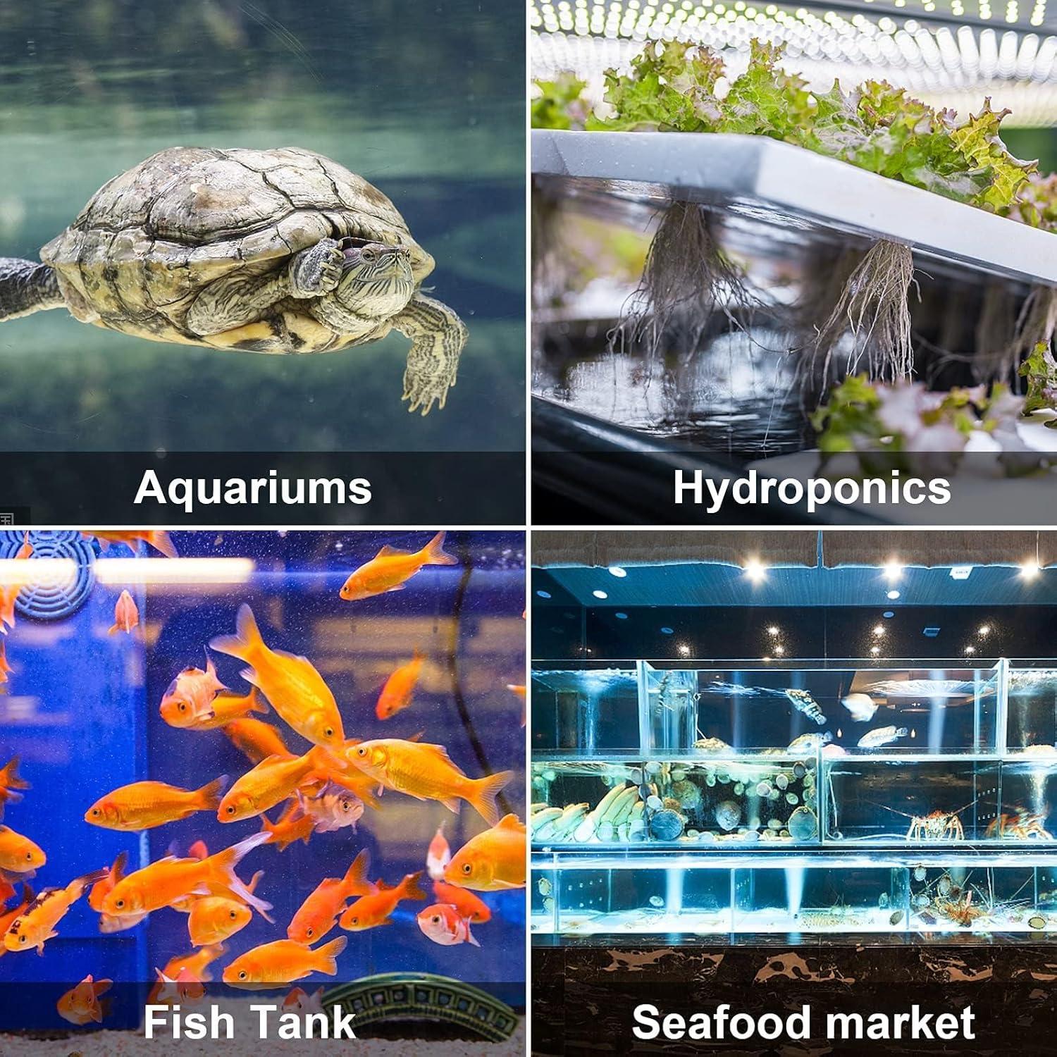 Piedra de Aire Grande Simple Deluxe 10 Piezas 29x16x13cm