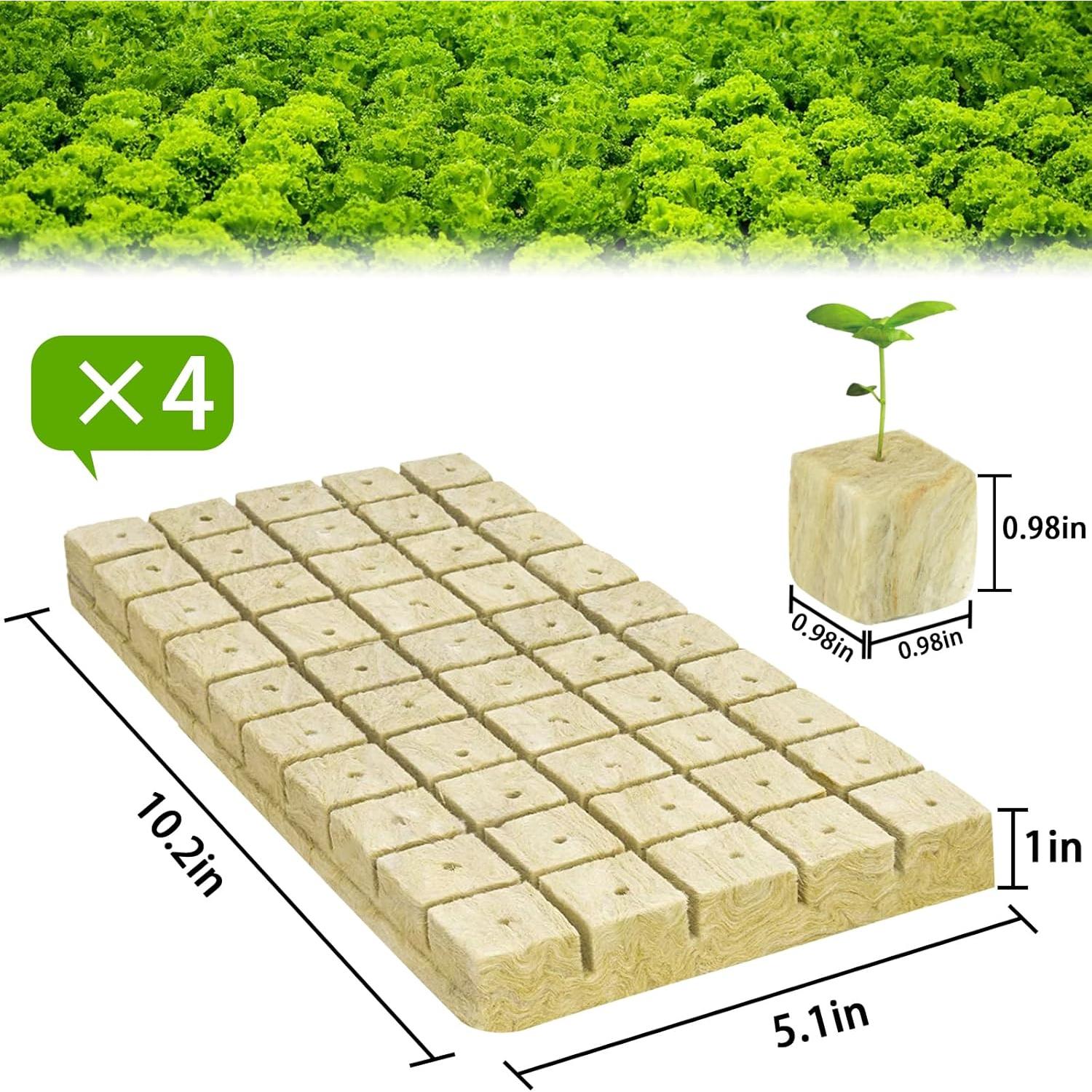 Cubos de Lana de Roca Halatool 1 Pulgada 200 Piezas