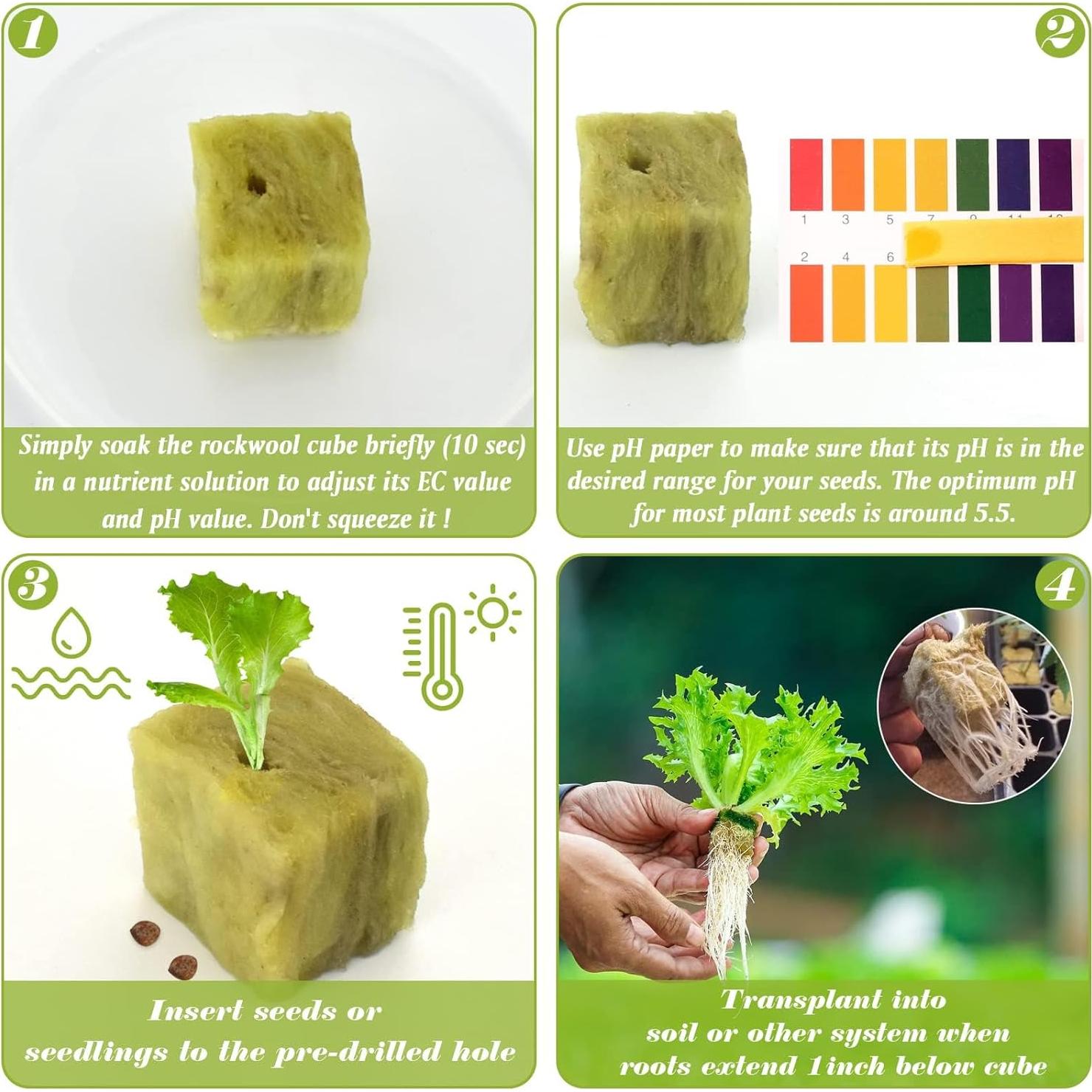 Cubos de Lana de Roca Halatool 1 Pulgada 200 Piezas